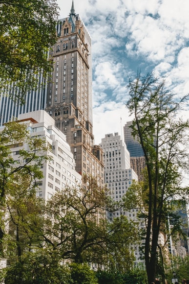 15 Central Park West on billionaires' row, seen from Central Park.