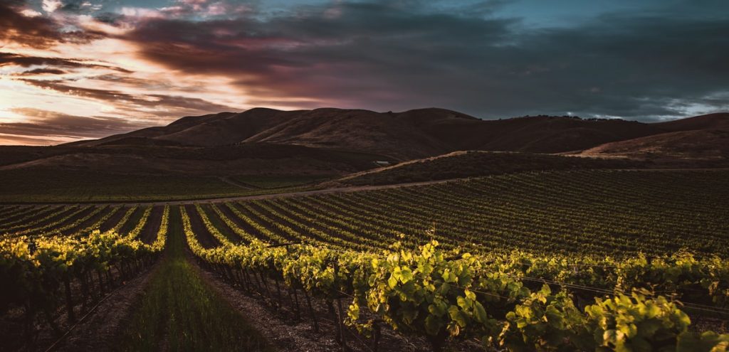 Stanly Ranch is situated in the picturesque vineyards of Napa Valley, pictured here.