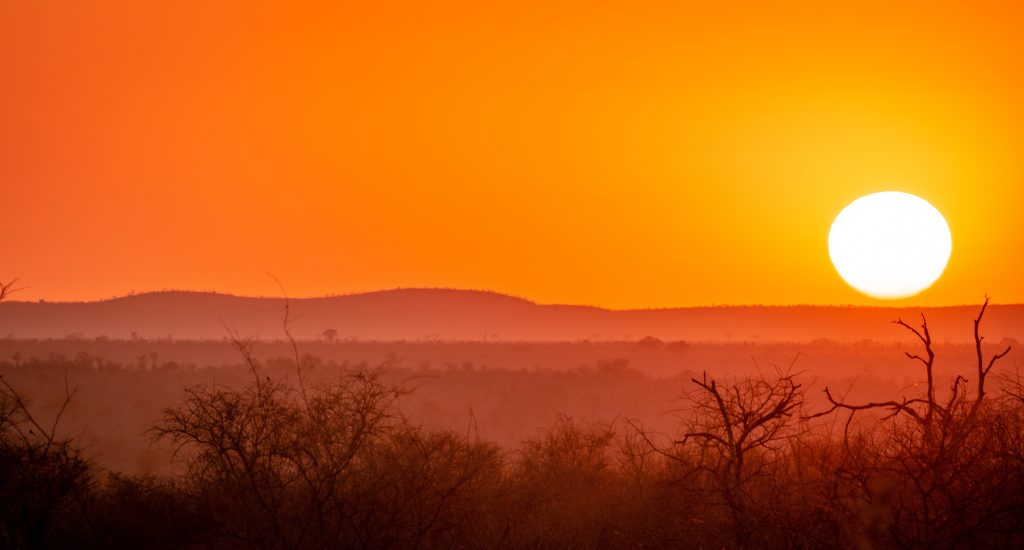 The sun setting over an African plain.