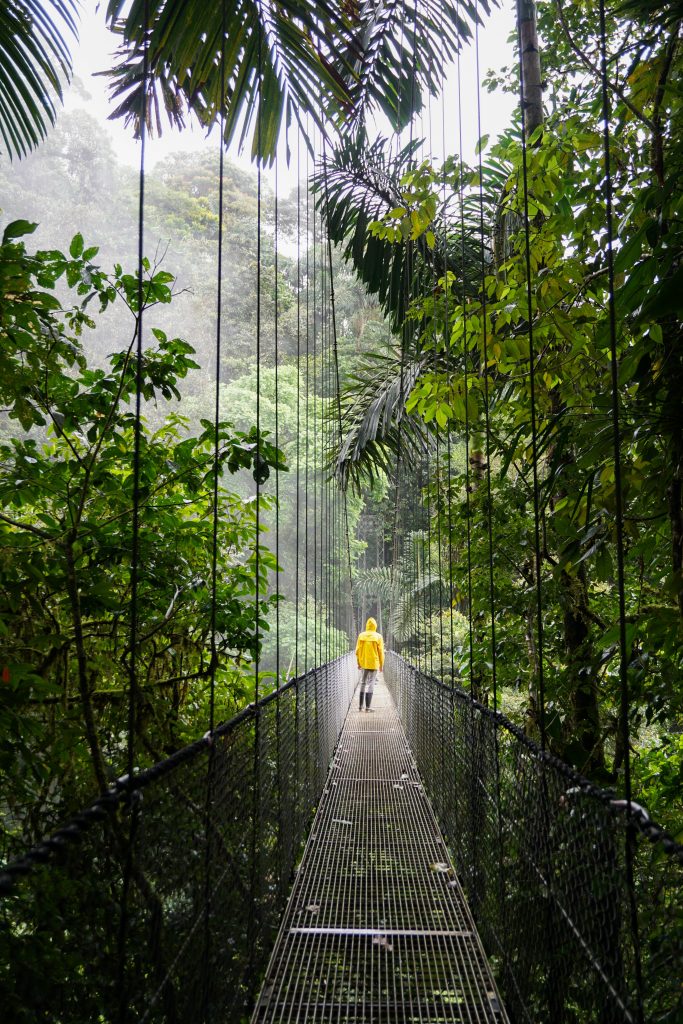A man on a bridge in the rainforest.