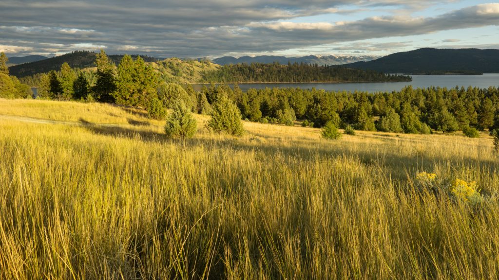 Cromwell Island