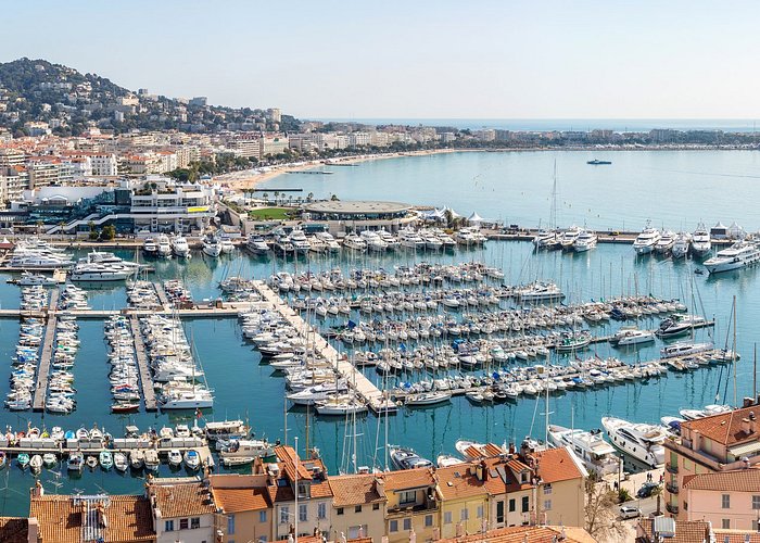 Cannes film festival