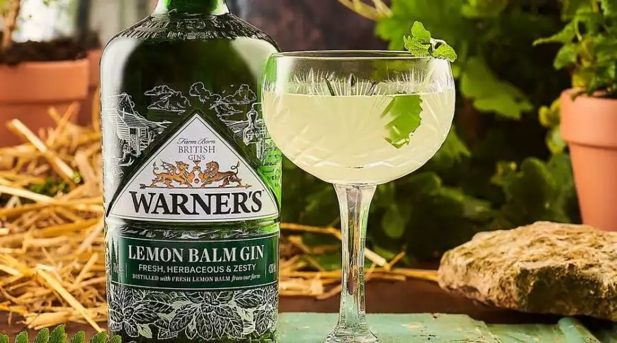 Grow Botanicals At Home With World Spirits Award Winners: Warner’s Gin