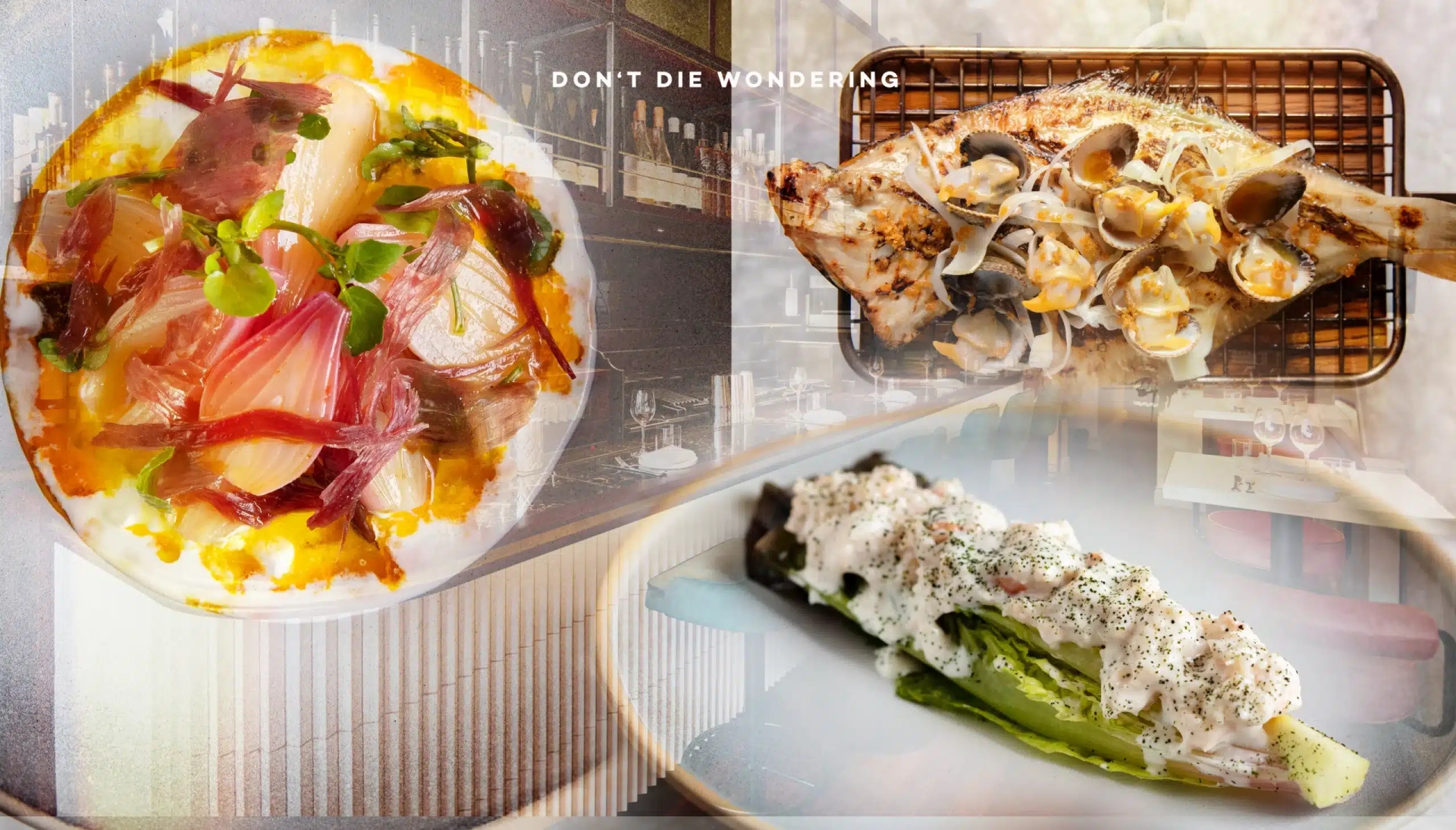 Caia: Notting Hill’s Quintessential Neighborhood Gem