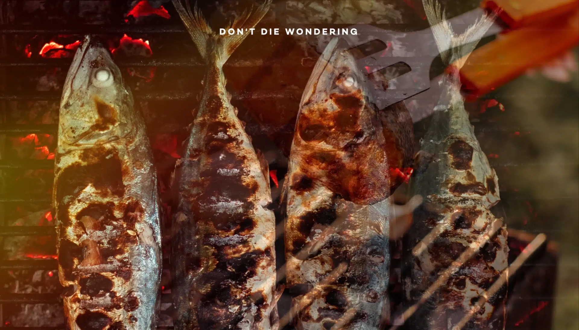Your Guide to Grilling Fresh Seafood to Absolute Perfection