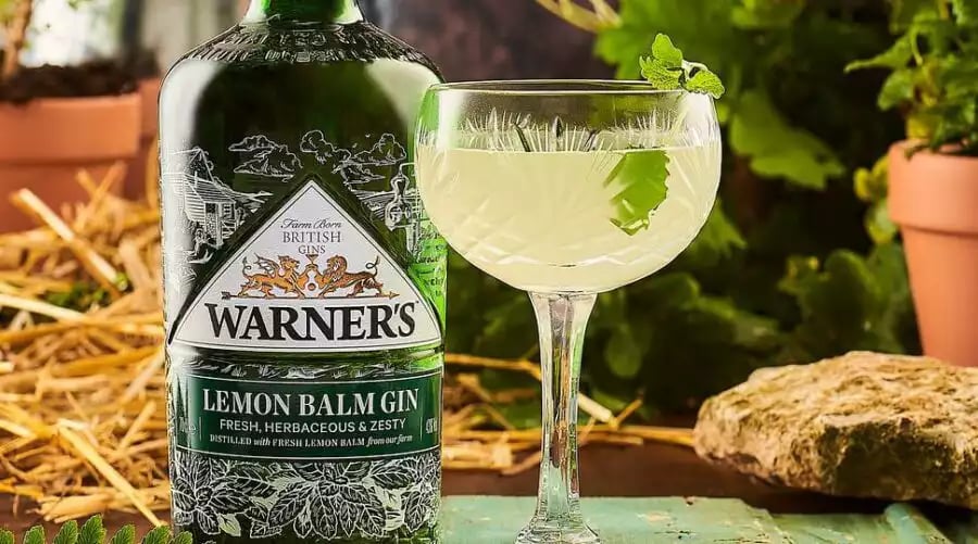 Grow Botanicals At Home With World Spirits Award Winners: Warner’s Gin