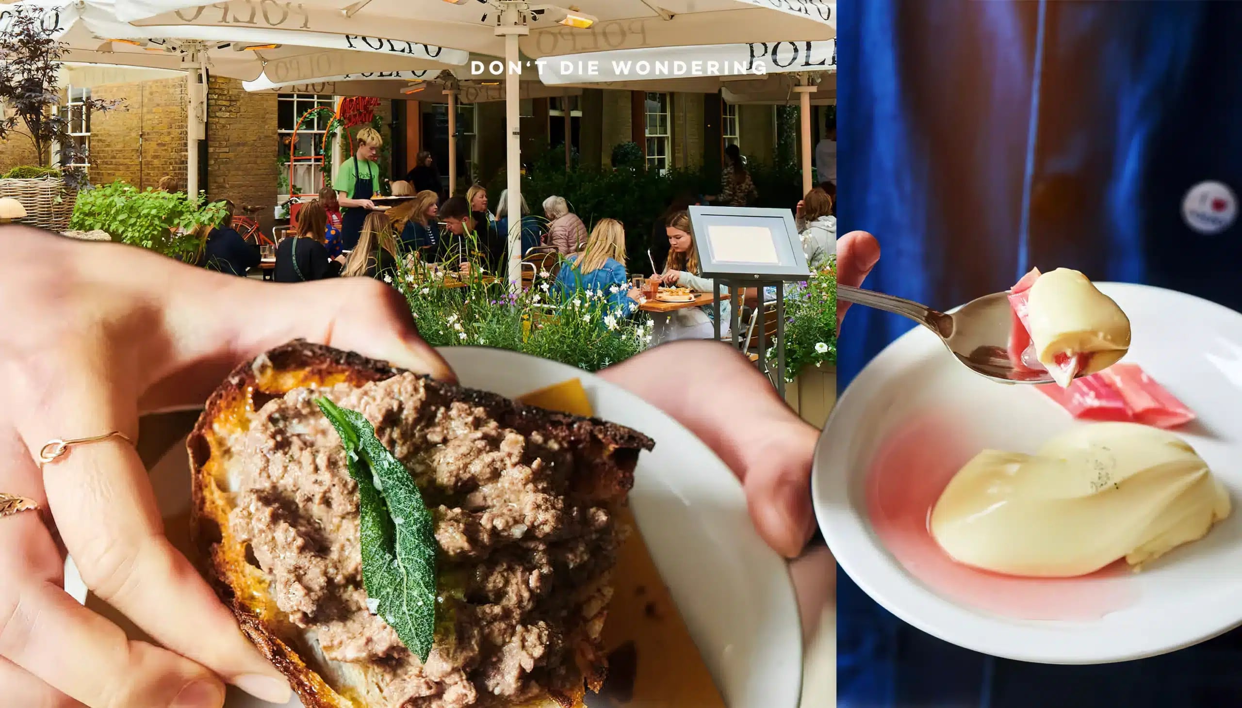 POLPO: Where Venetian Charm Meets Italian Authenticity in London