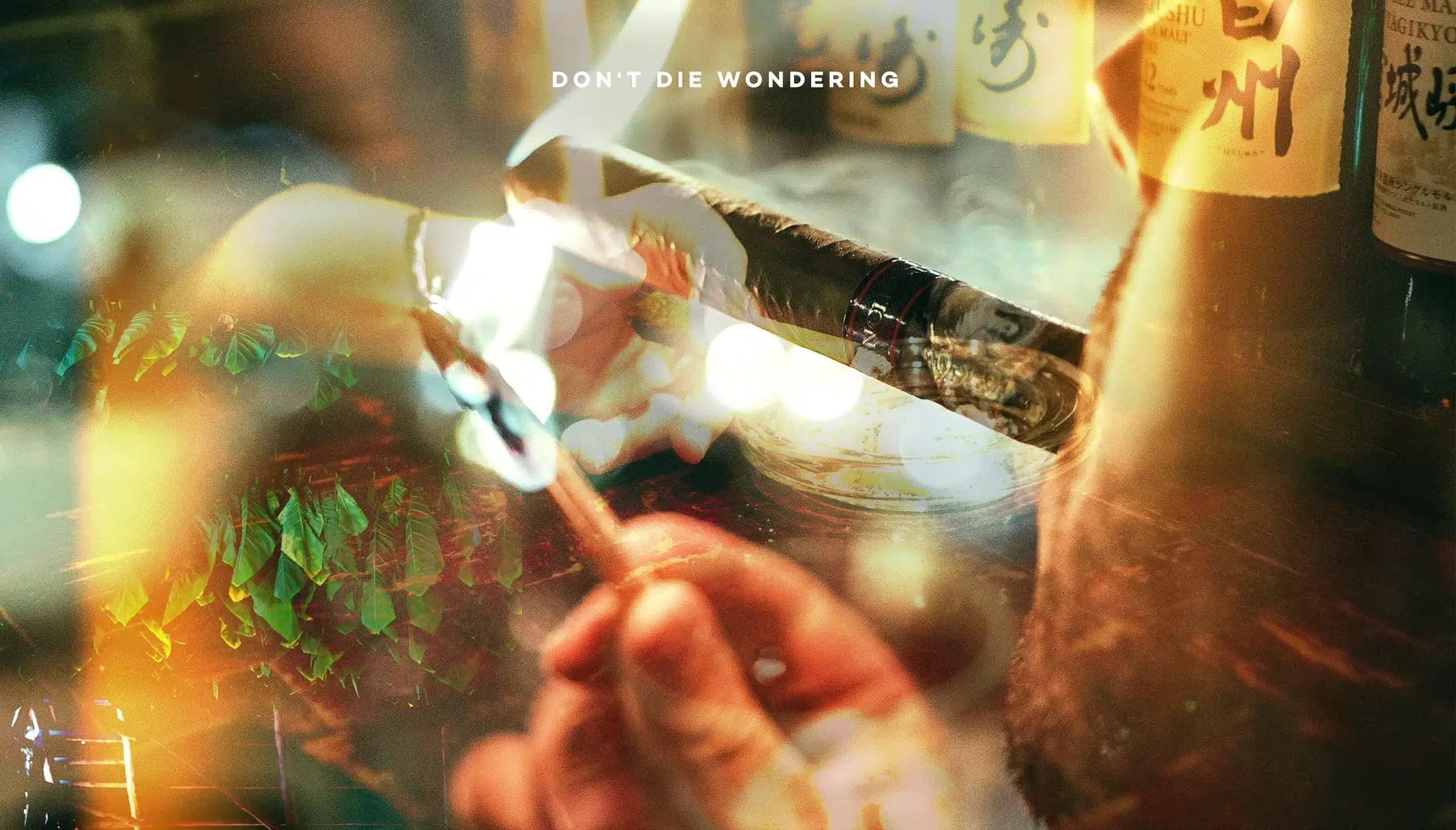 The Novice’s Guide to the World of Cigars: Tradition, Symbolism, and Savoir-Faire