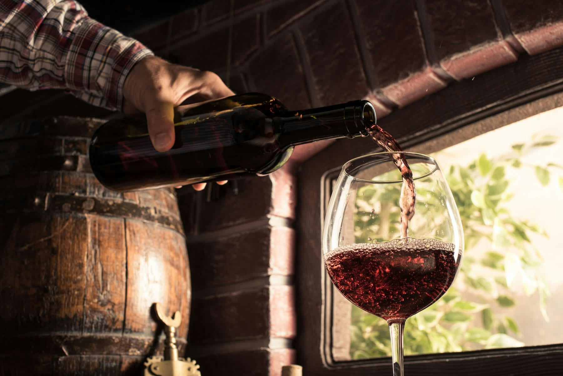 Winemaking Experiences Around the World