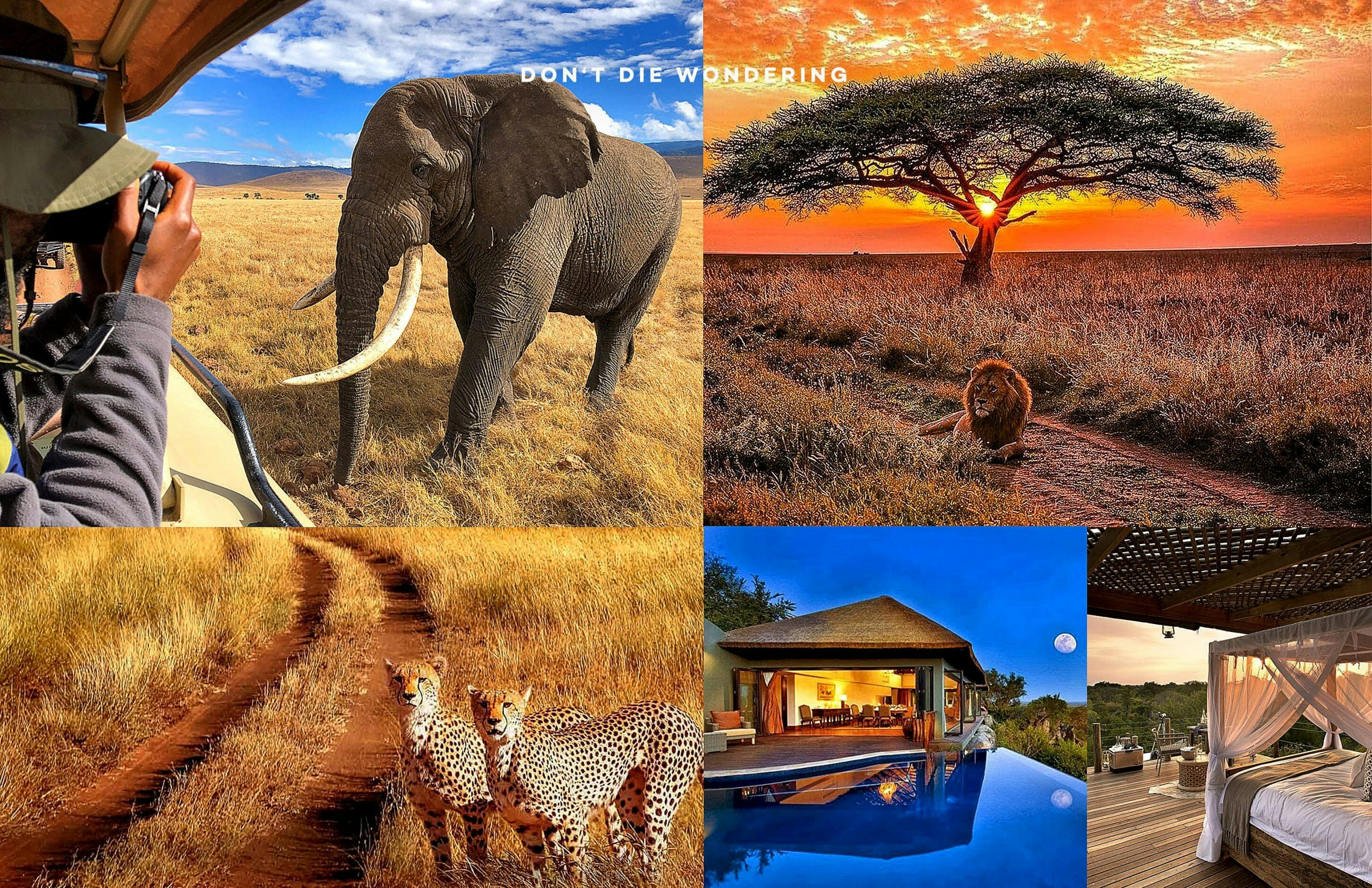 Luxury Safari Retreats In The Serengeti National Park
