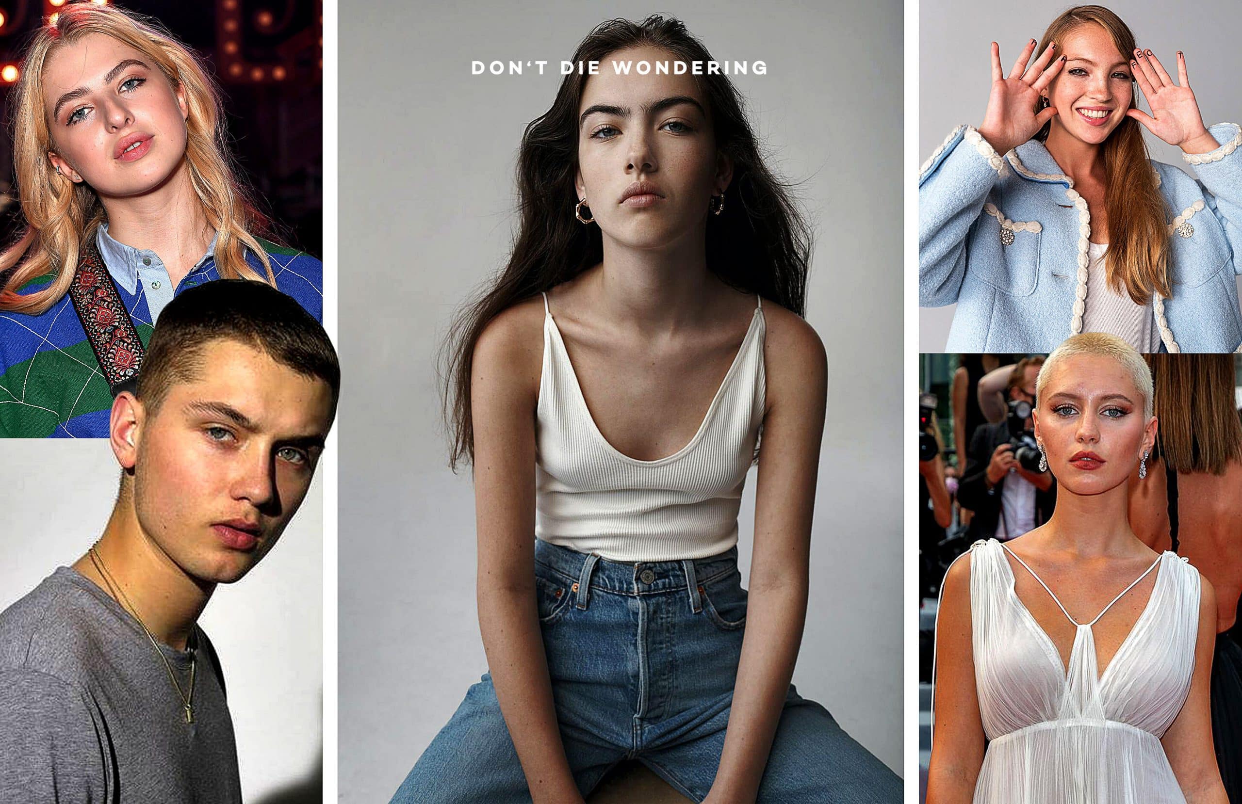 Introducing The New Primrose Hill Set Introducing The New Primrose Hill Set