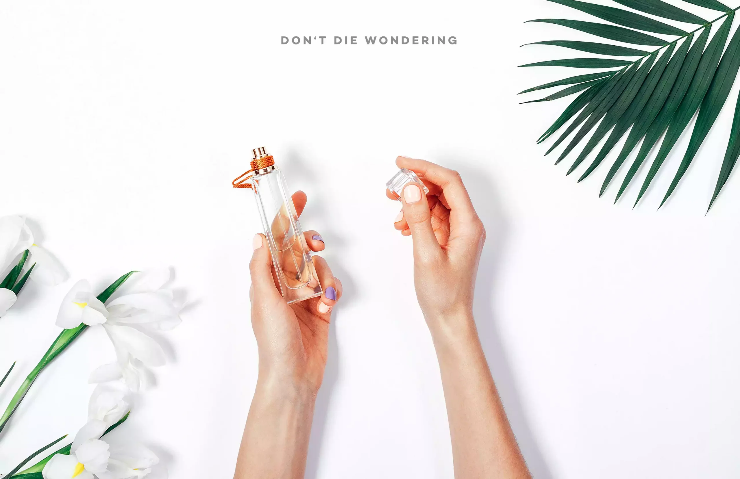 Gift Guide: Perfumes To Dream of This Christmas