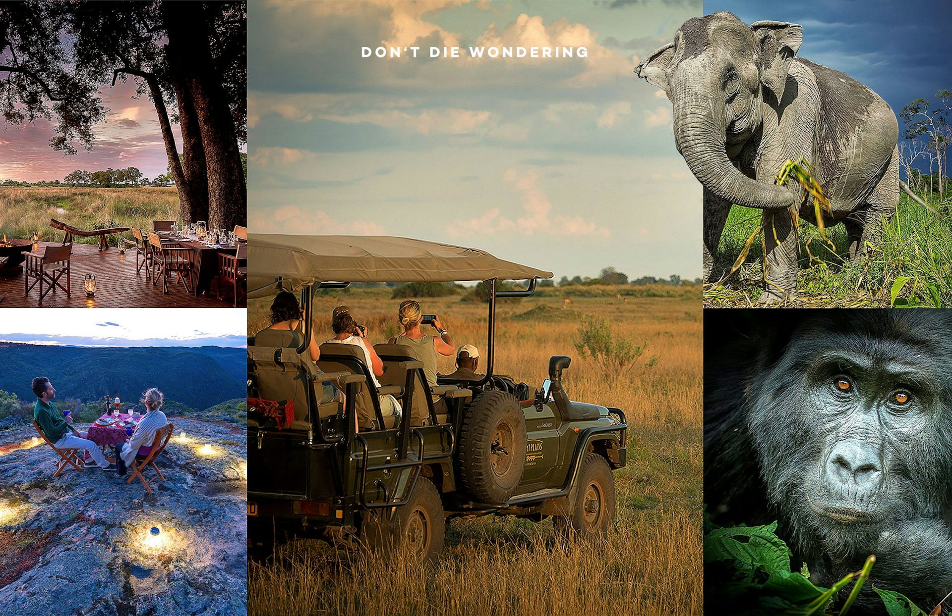 Ethical Safari Company Across The Globe