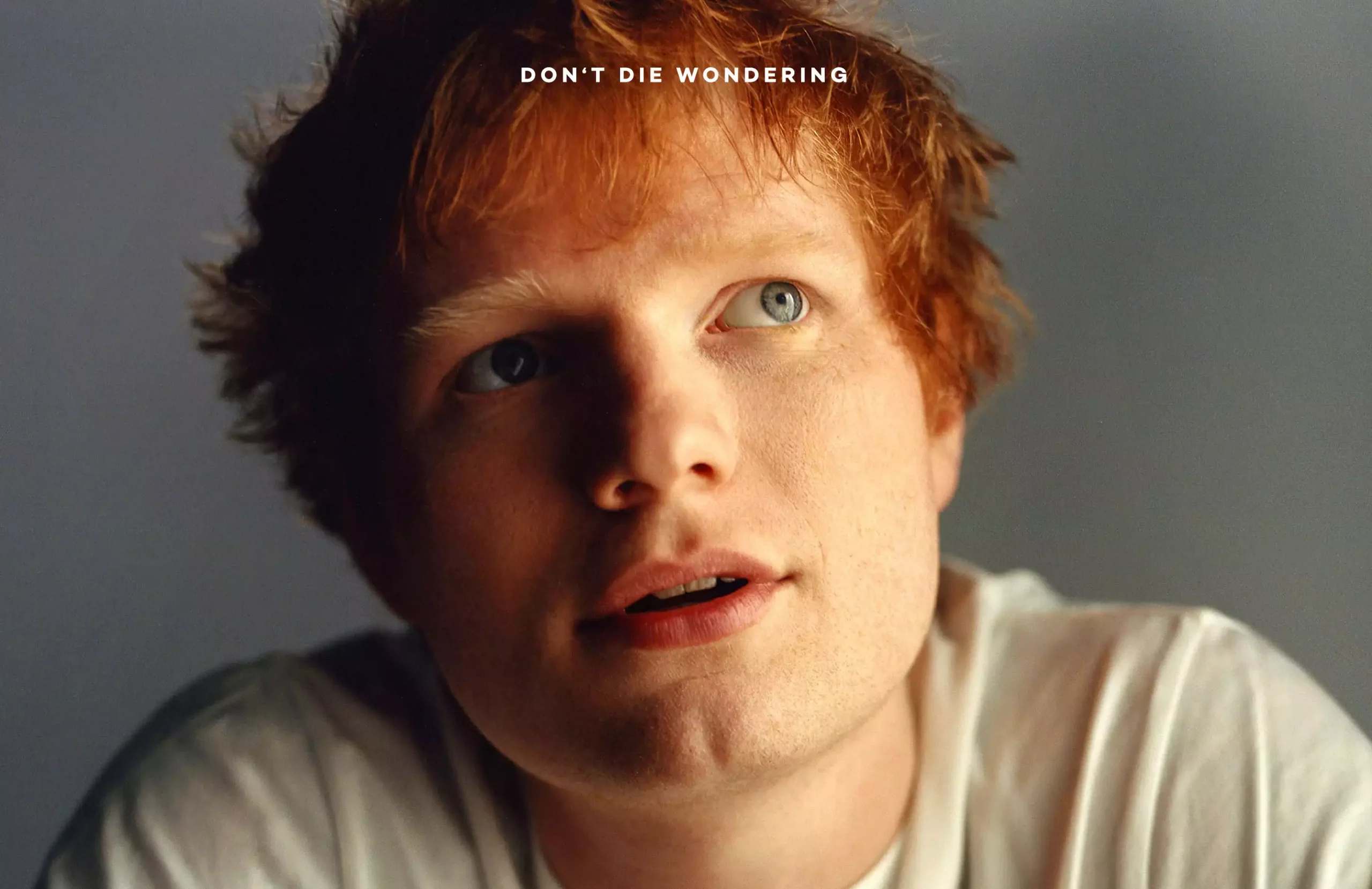 Why Is Ed Sheeran Building A Crypt Under His Estate?