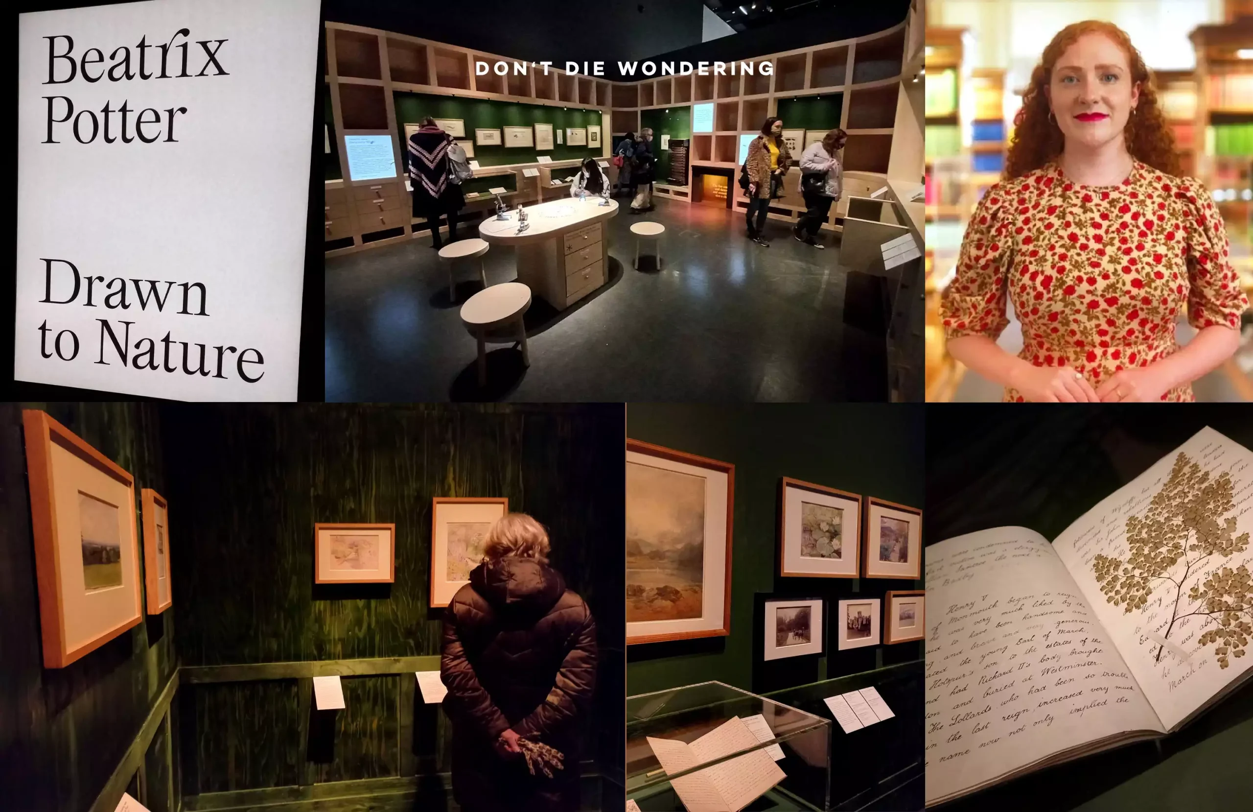 Celebrating Beatrix Potter A Drawn To Nature V&A Immersive Experience