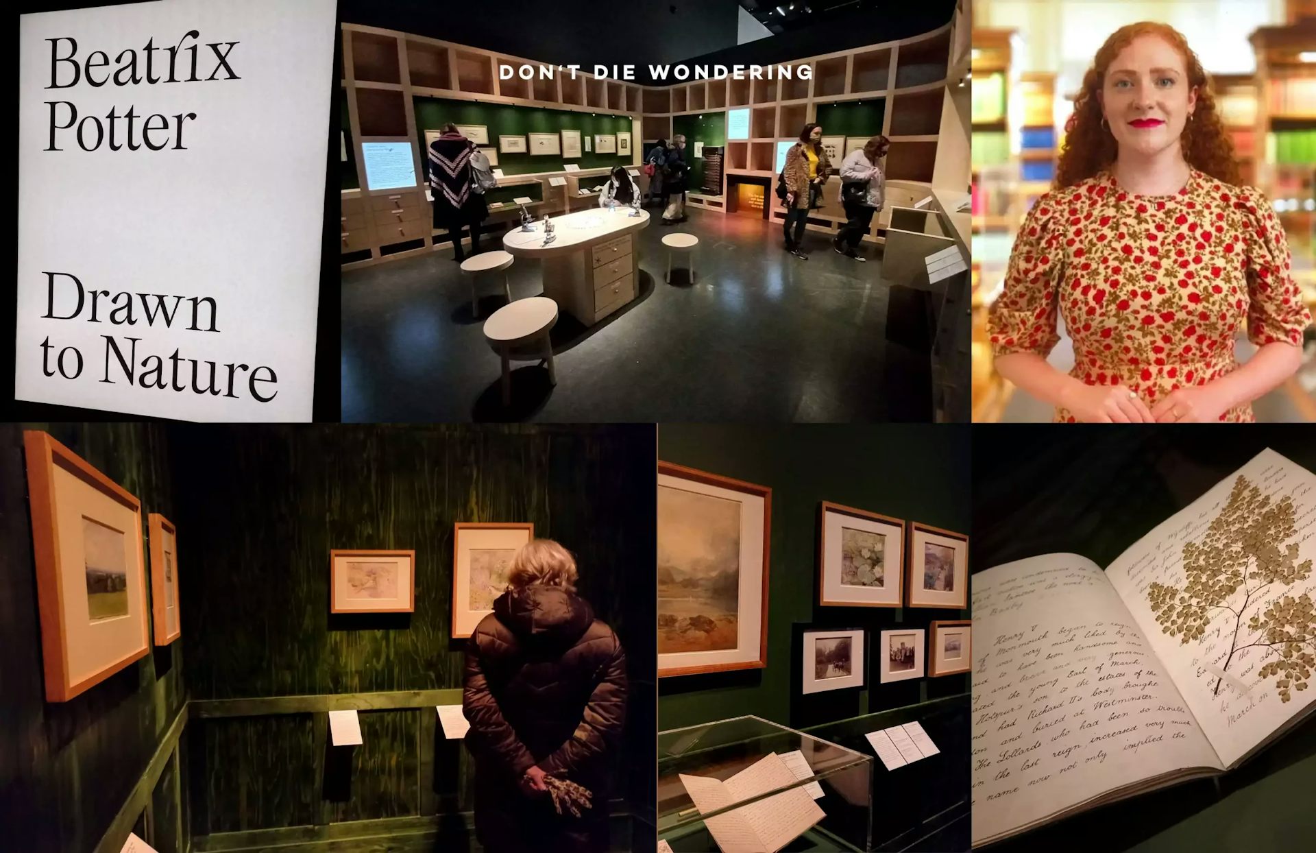 Celebrating Beatrix Potter A Drawn To Nature V&A Immersive Experience 