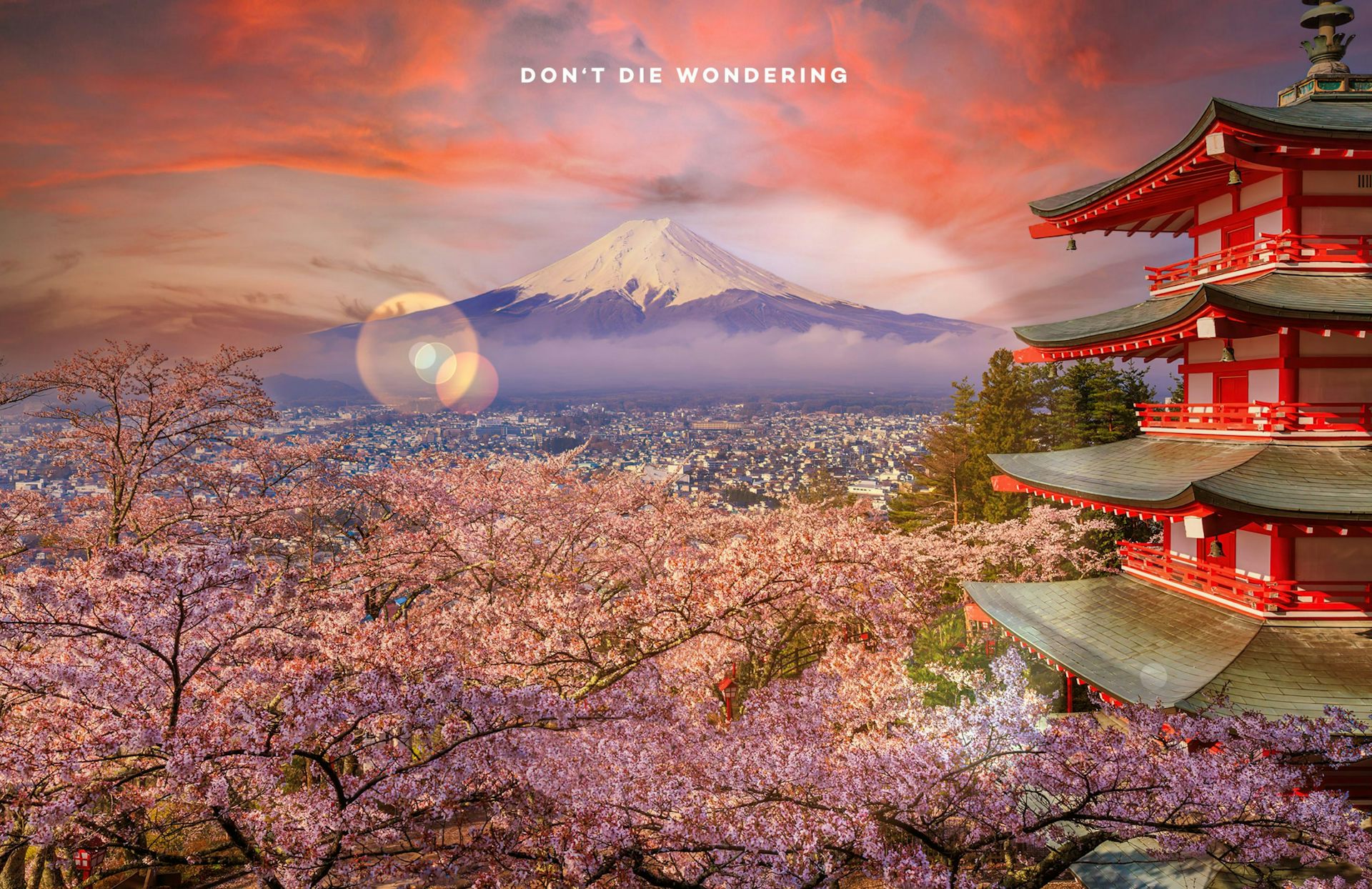 Sakura Season — Travelling To See Japan’s Famed Cherry Blossoms