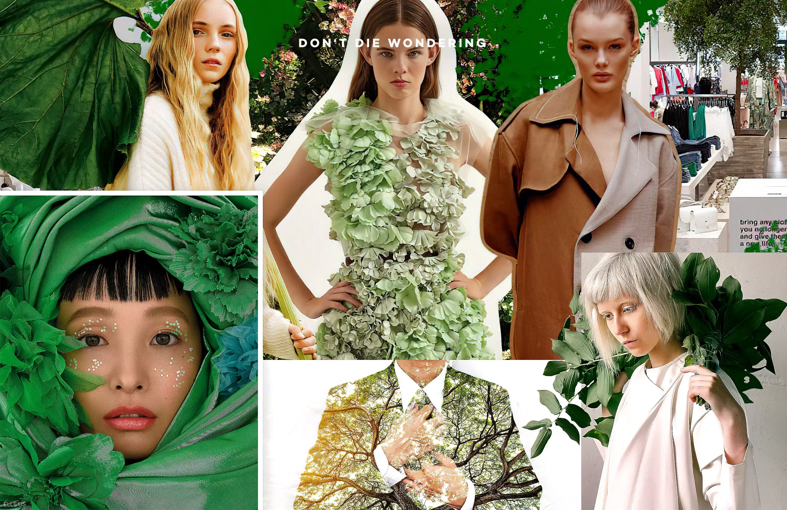 What Do These Sustainability Buzzwords Actually Mean?