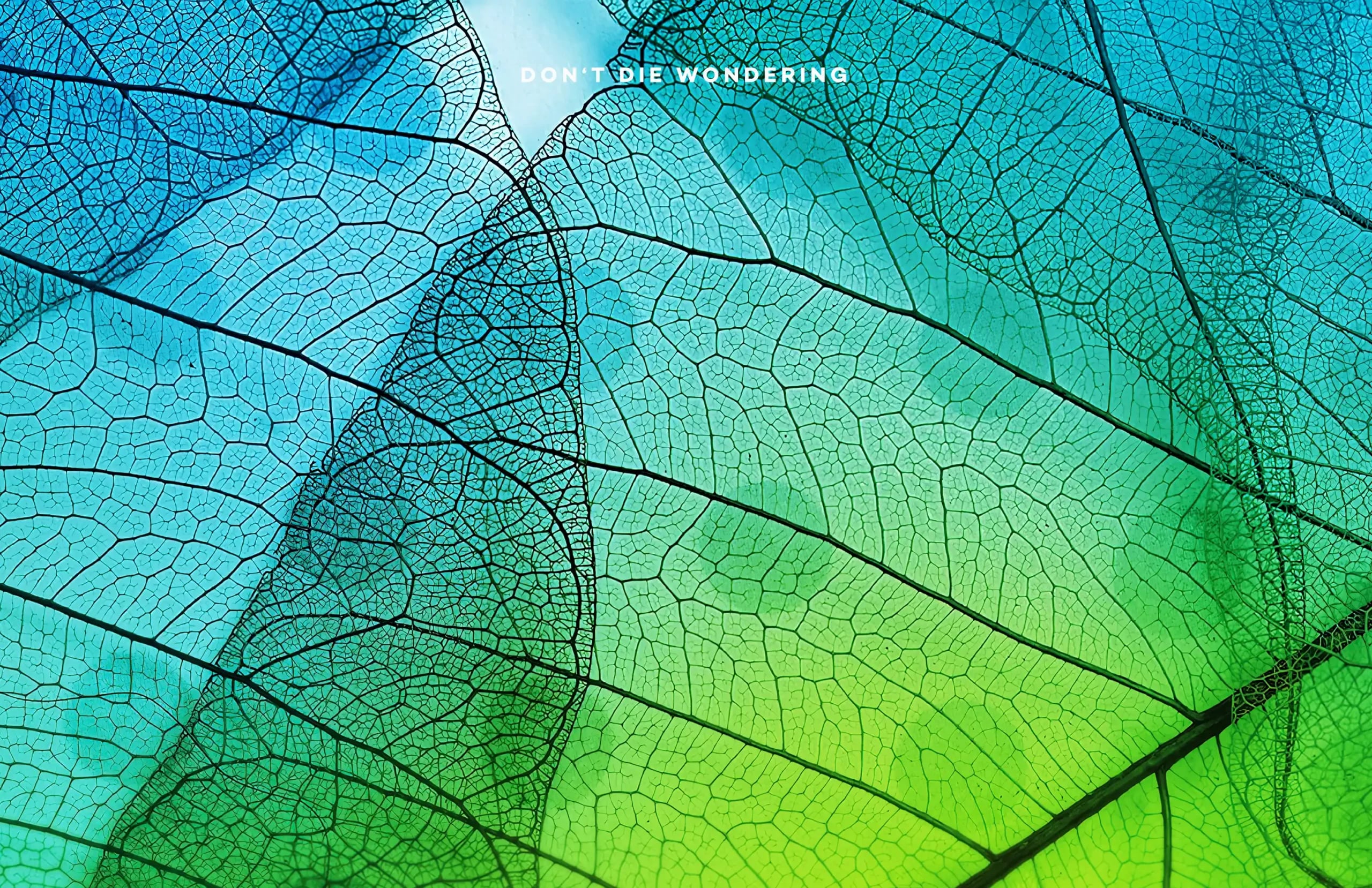 Introducing Sophie Malaga – Spain’s Hottest Open-Air Festival Introducing Sophie Malaga – Spain’s Hottest Open-Air Festival