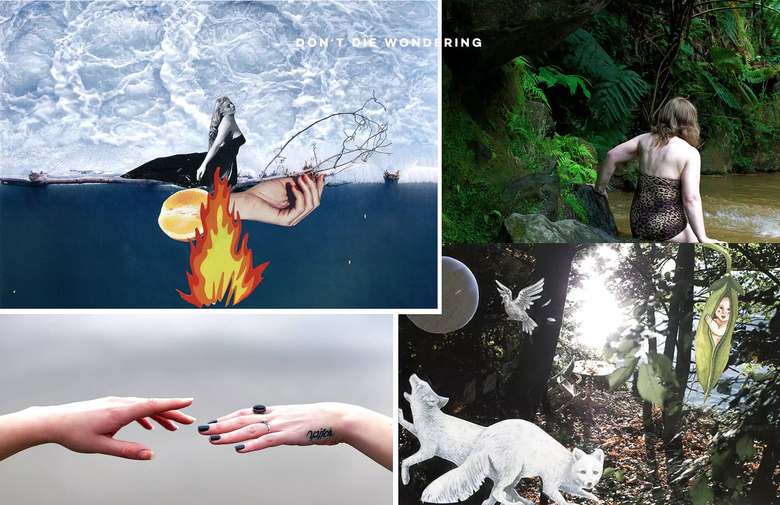 Sandra Rocha and her Parisian Vernissage Sandra Rocha and her Parisian Vernissage