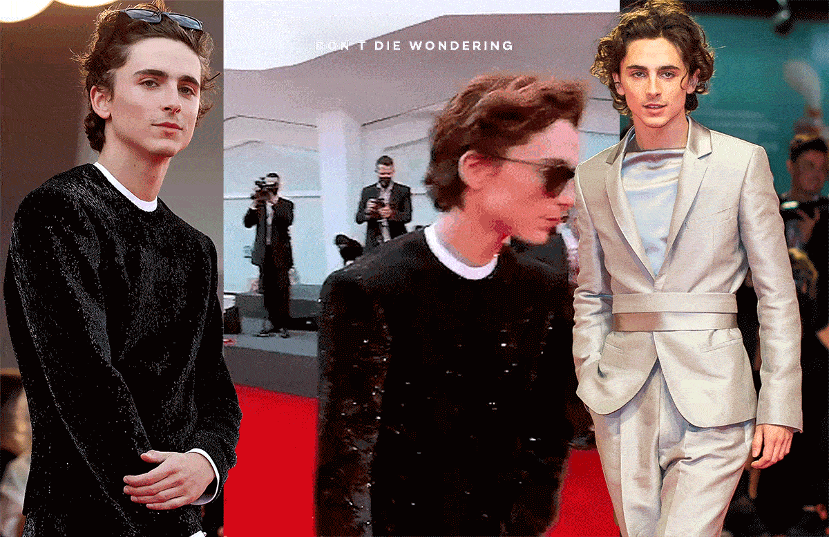 Timothée Chalamet’s Guide To Style