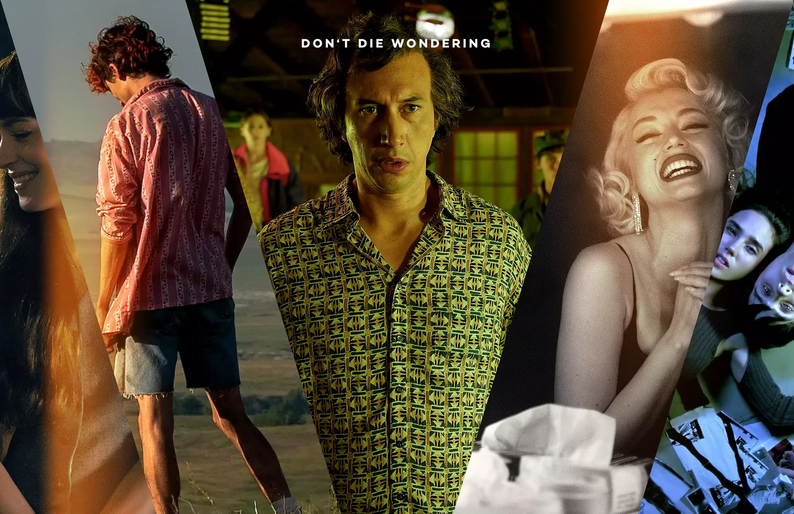 DDW’s Guide to the 2022 Venice Film Festival