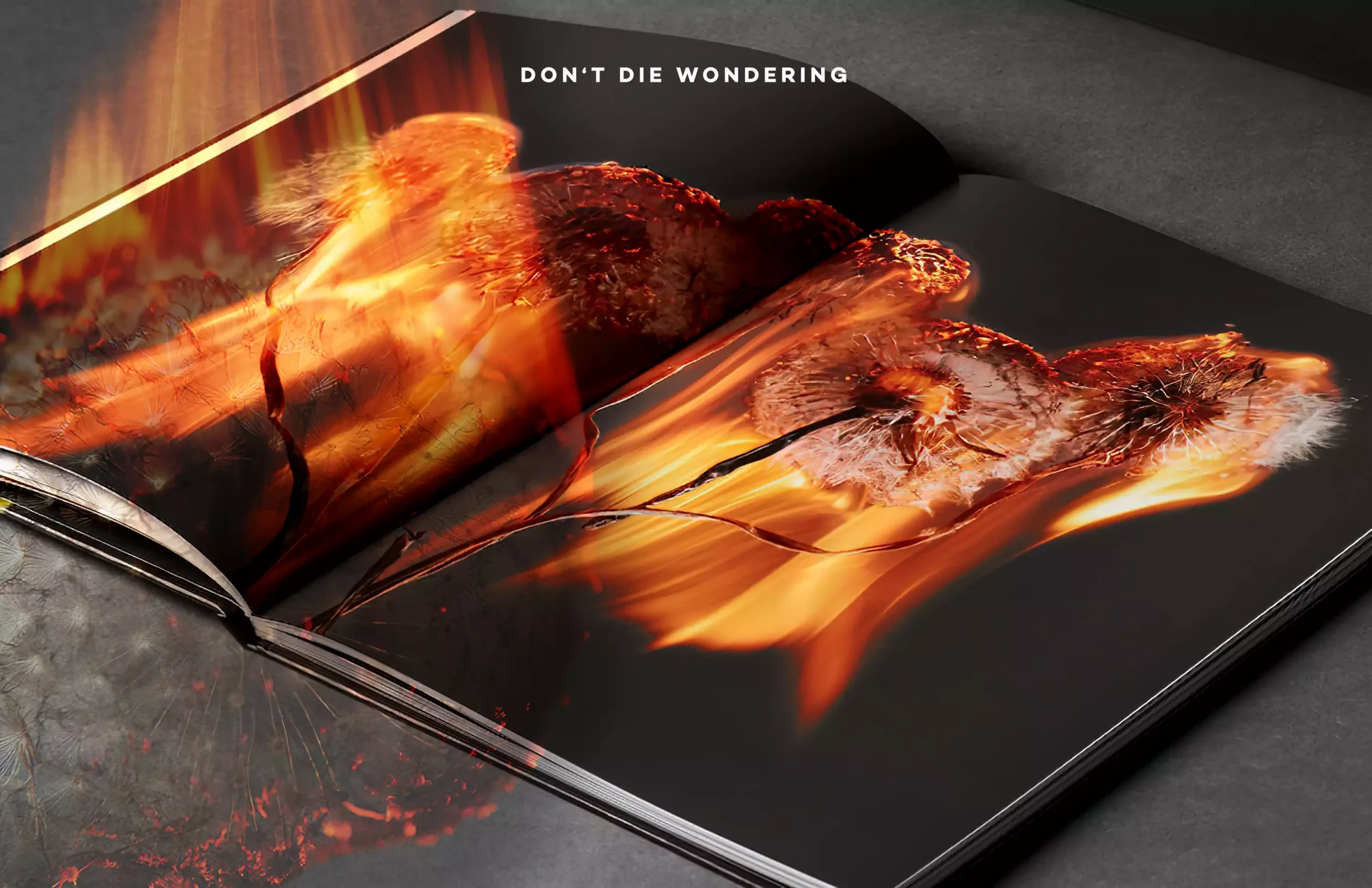 Introspection meets Destruction: Rankin’s latest photobook envisions ‘An Exploding World’ Introspection meets Destruction: Rankin’s latest photobook envisions ‘An Exploding World’