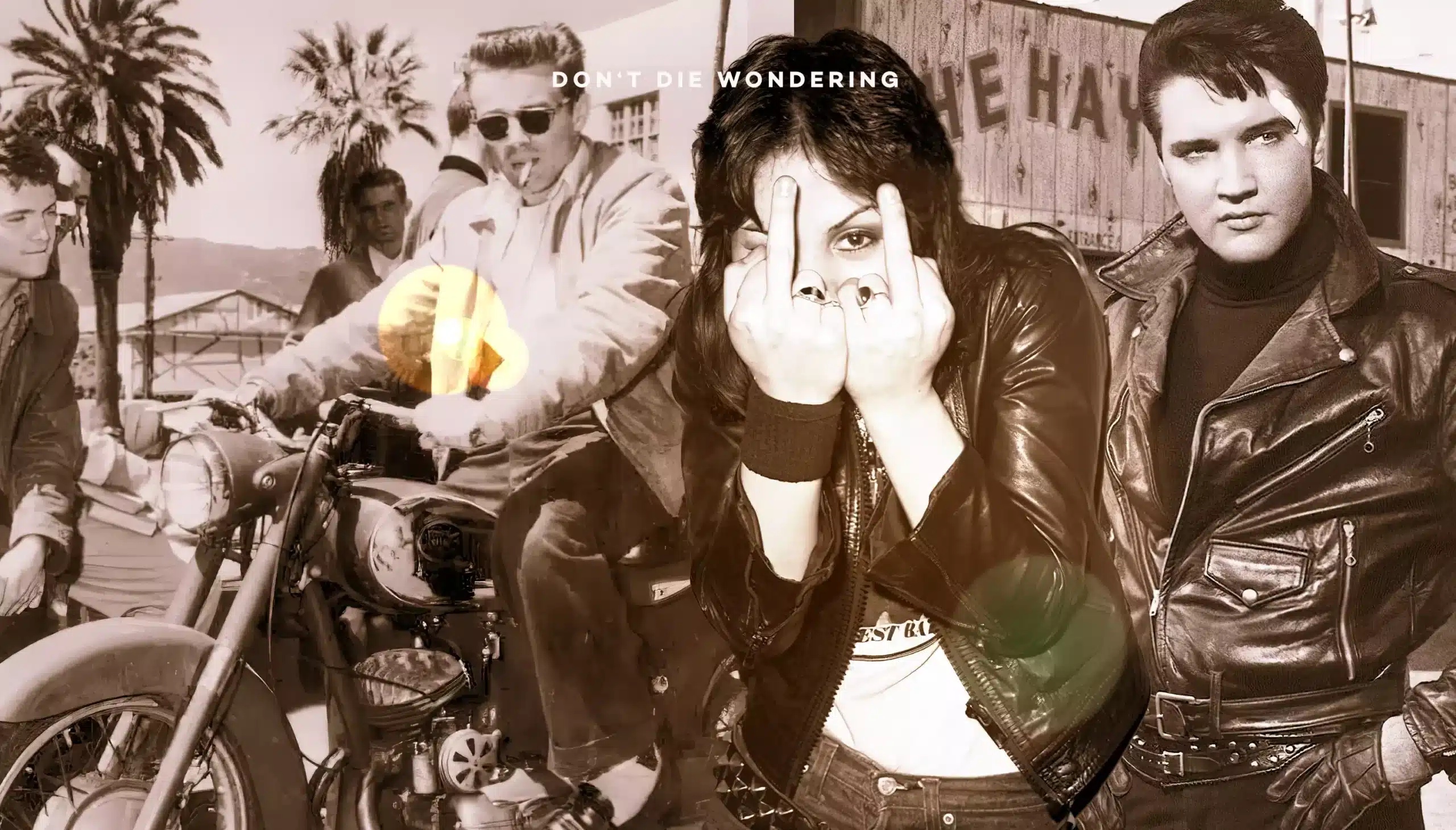 The Leather Legend: Discovering Angel Jackets’ Iconic Leather Garments