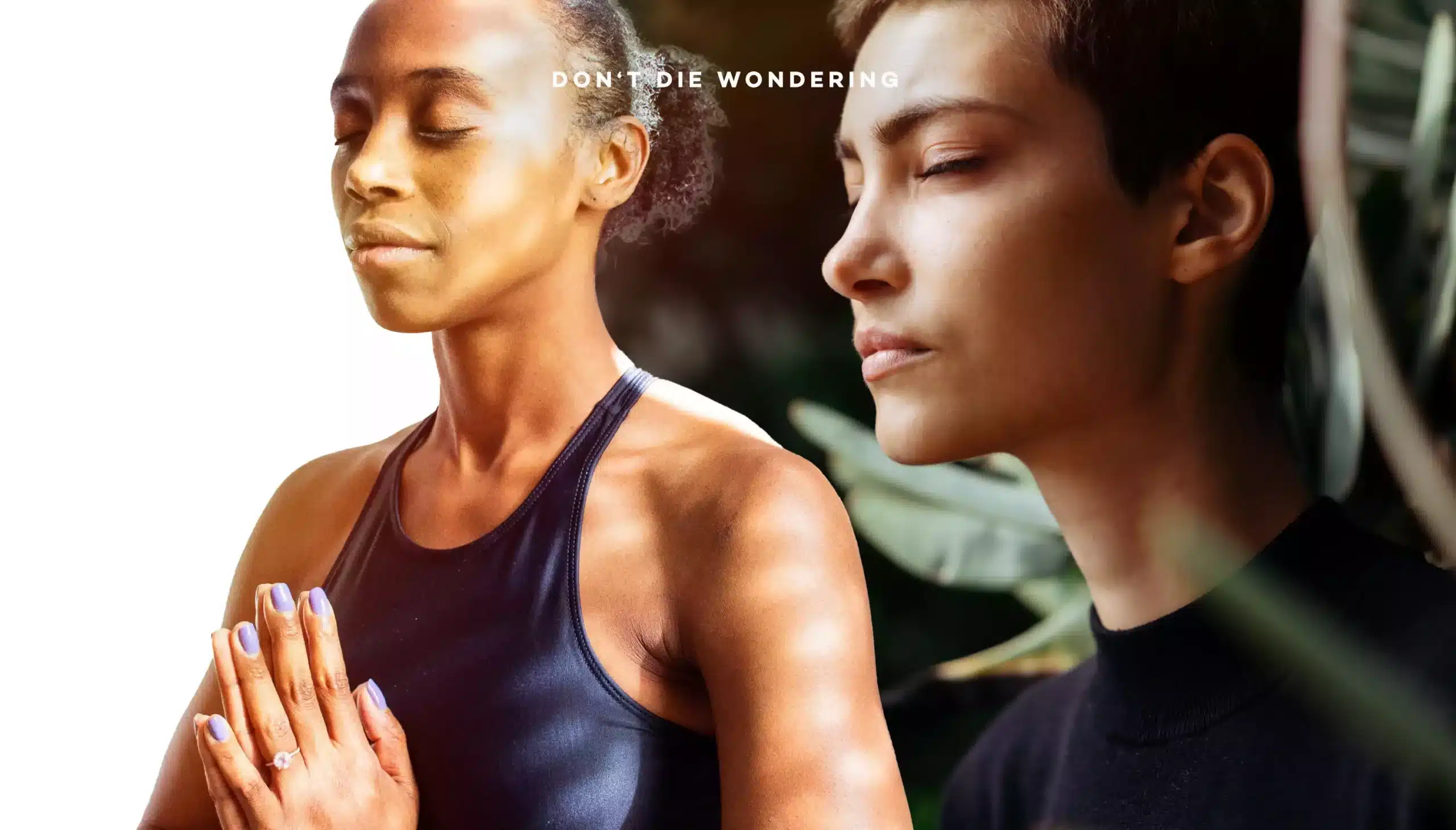 A Newbie’s Guide to Meditation A Newbie’s Guide to Meditation