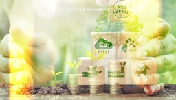 Investing in Green Living: Eco-Friendly Products and Sustainable Practices