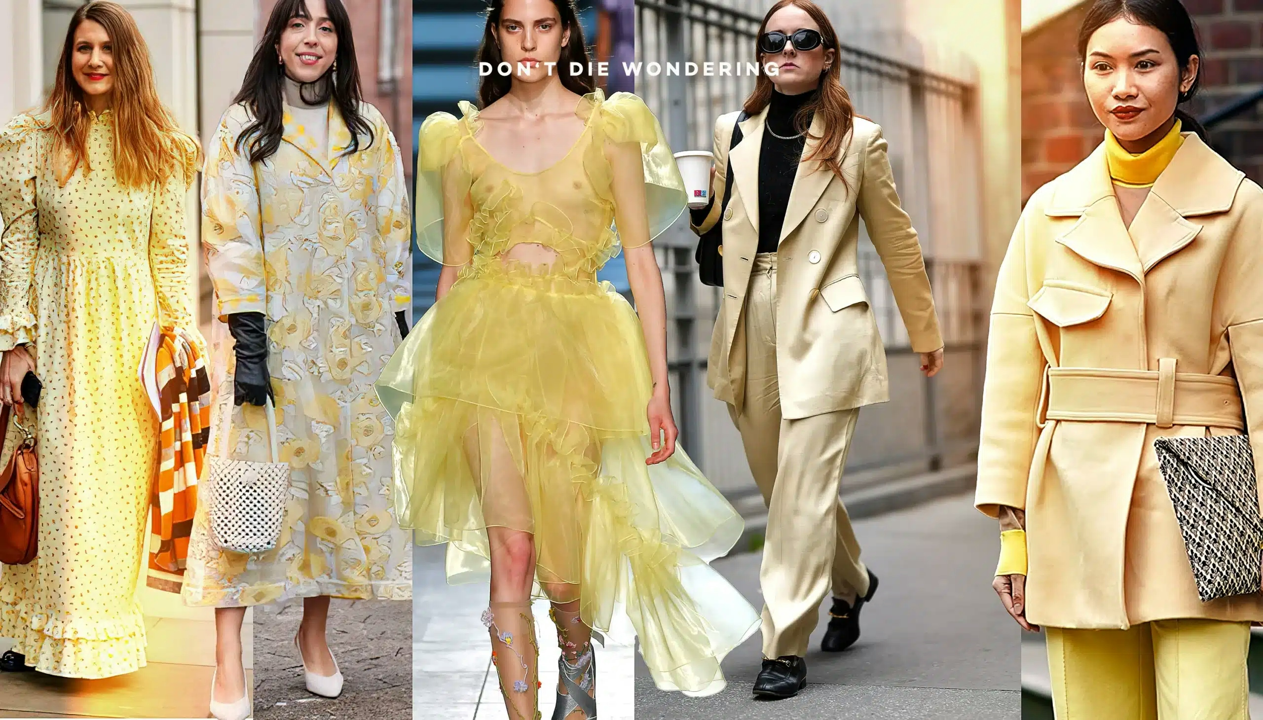 Butter Yellow: The Sunny Staple Taking Over 2024
