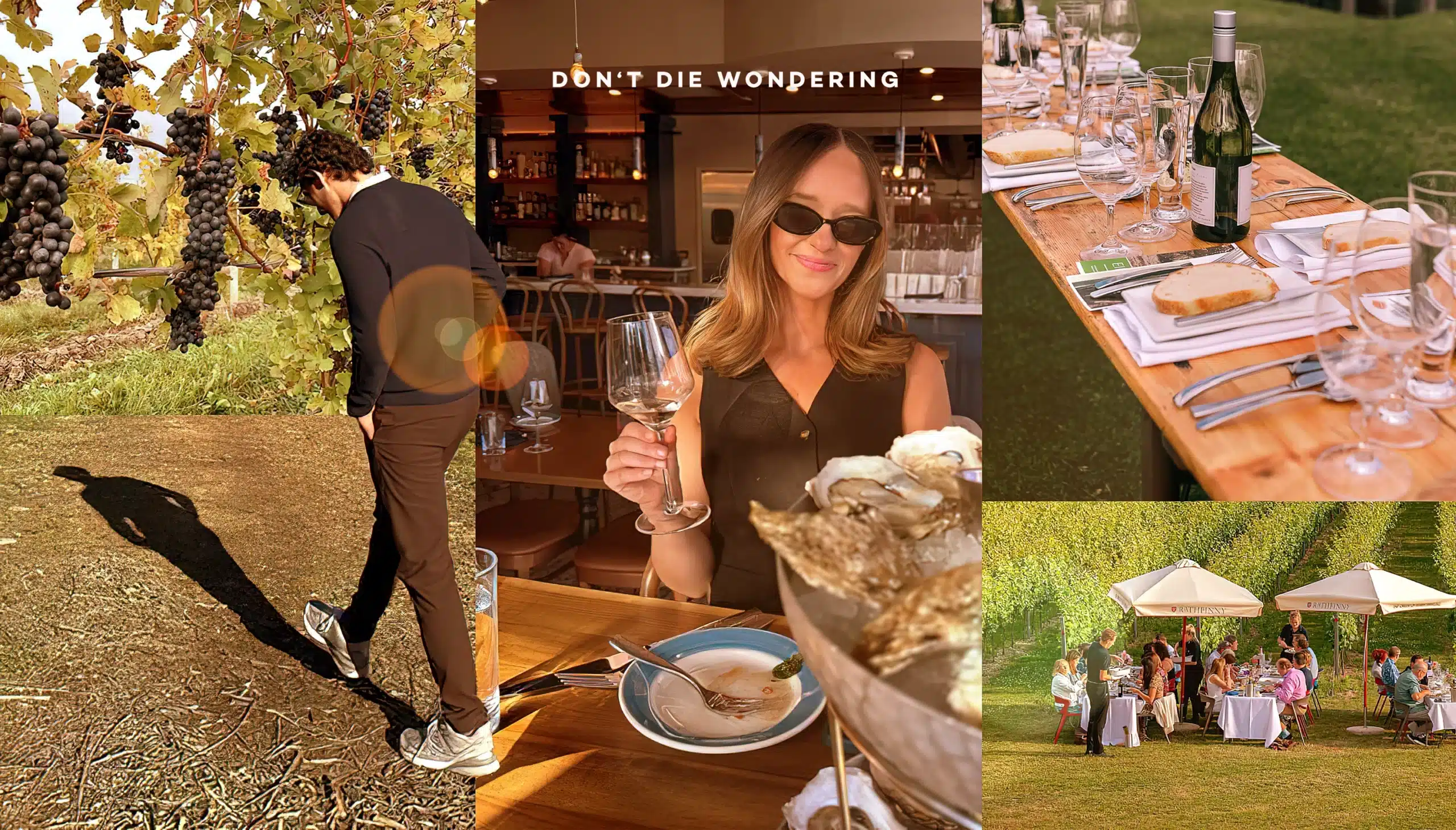 Sommelier Crash Course: Unveiling the Secrets Behind Every Bottle