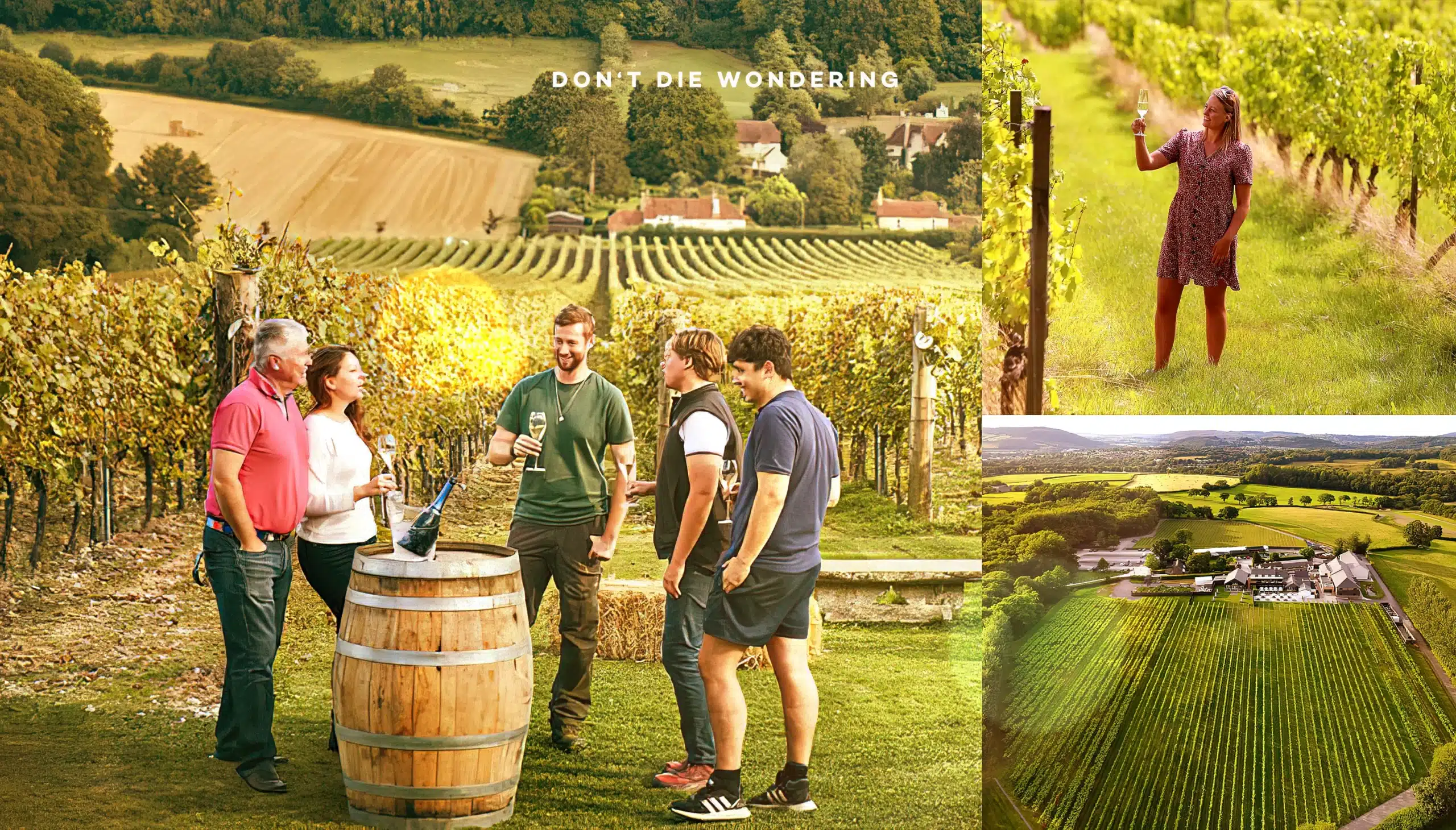 Here are The Best Vineyards in the UK