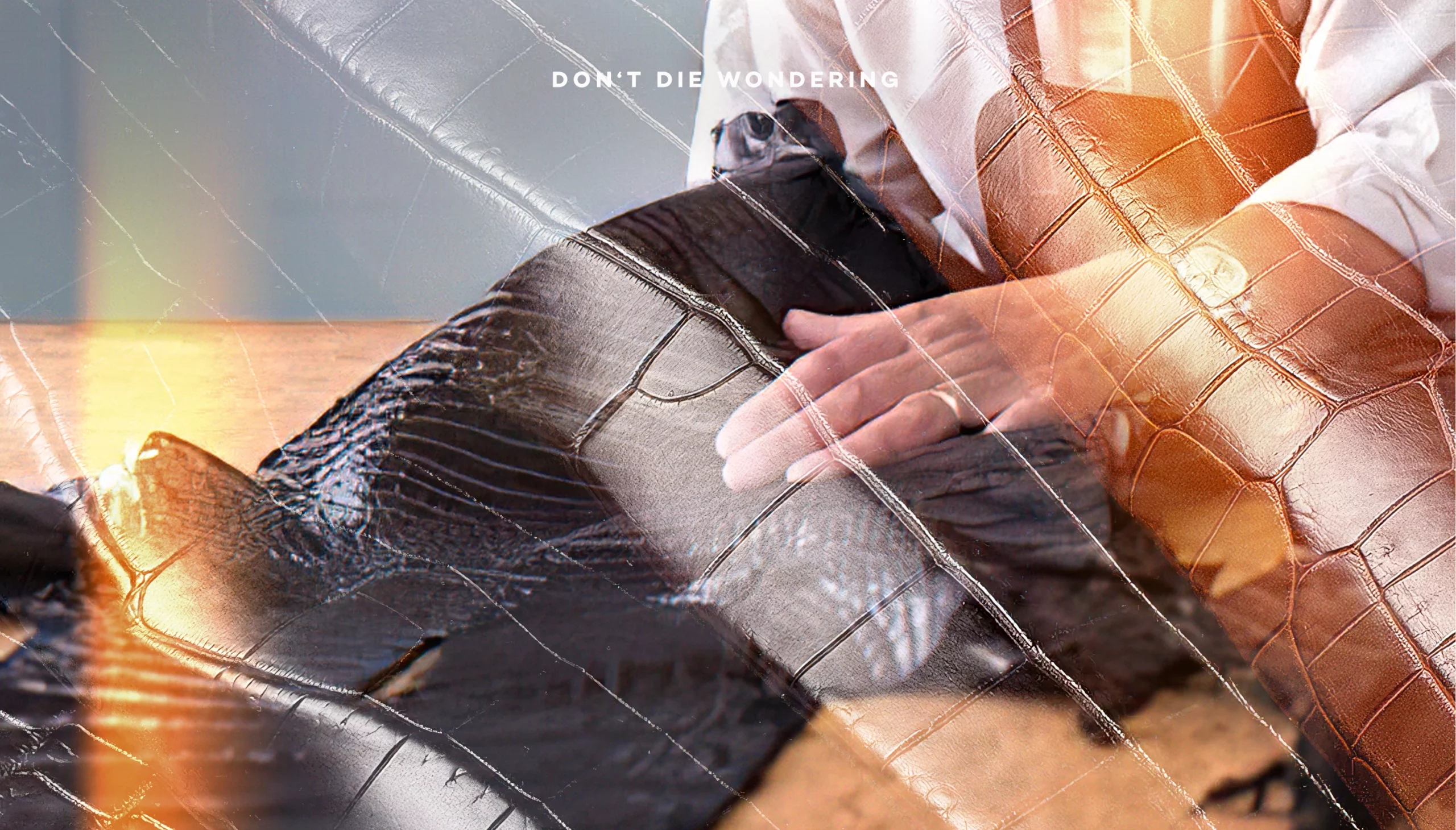 Is Exotic Leather the New Gold?