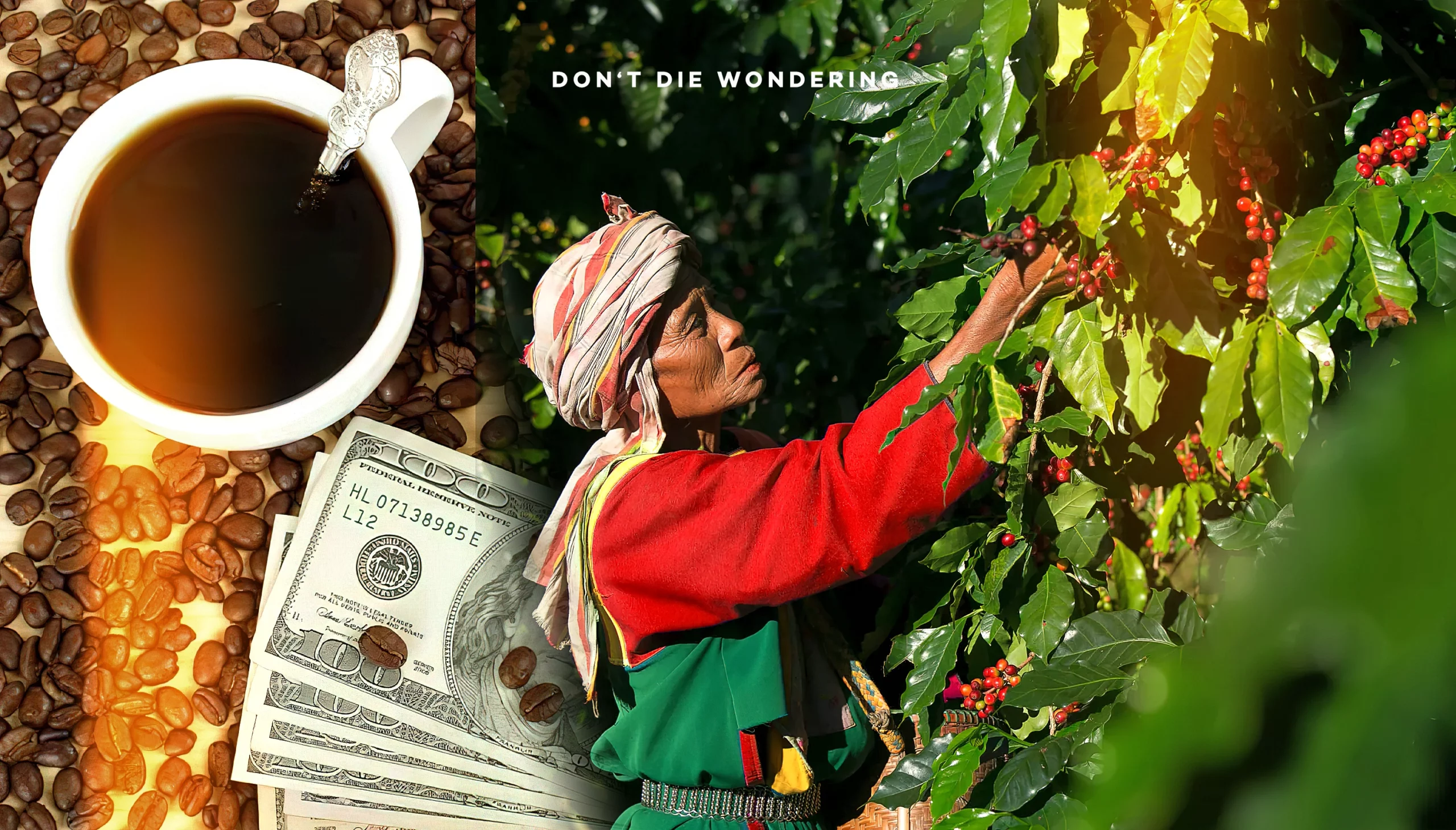 Most Luxurious Coffee to Indulge Most Luxurious Coffee to Indulge