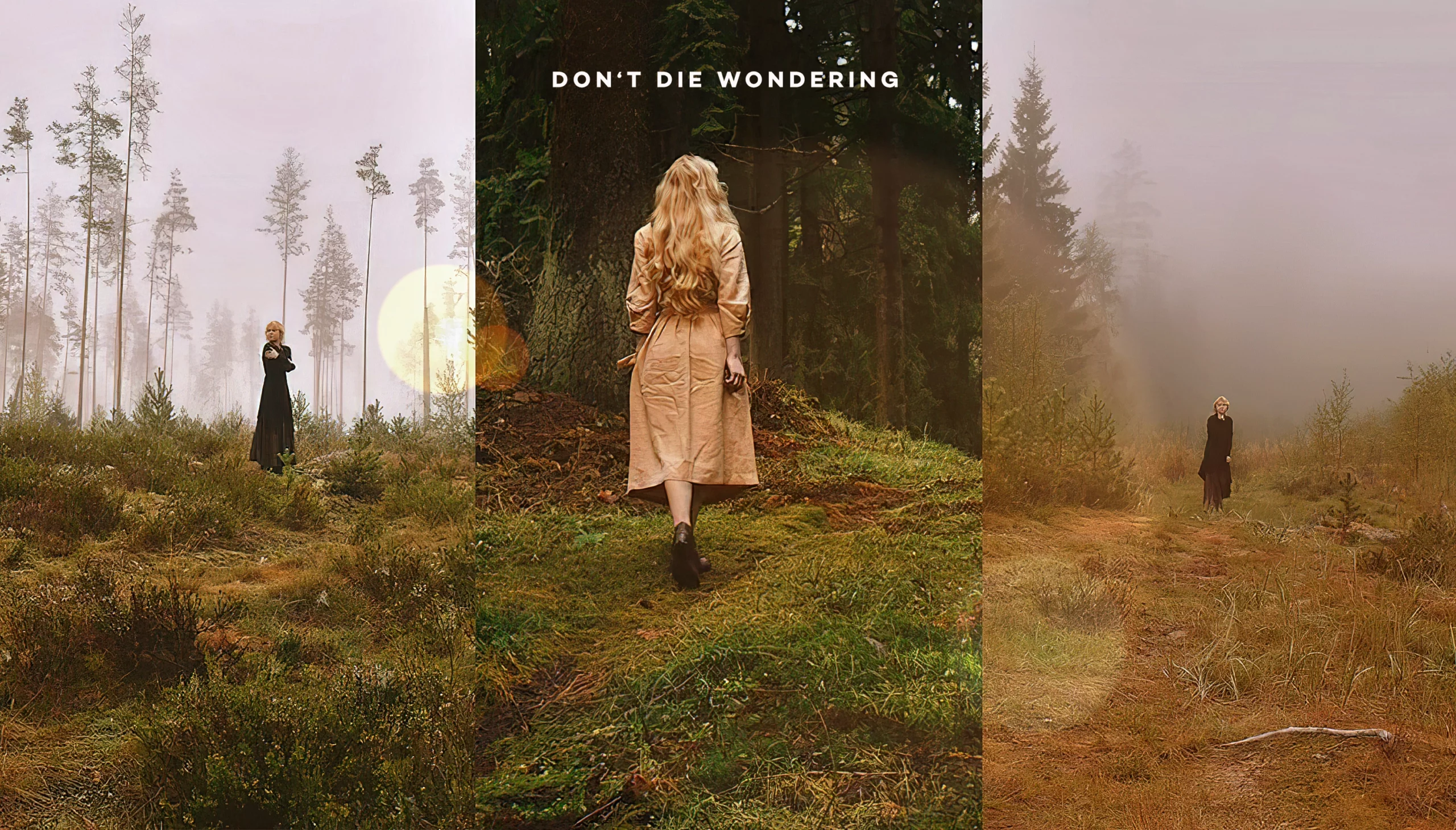 Autumn’s Occult Offerings: Unveil the Mysterious Powers of the Harvest Season