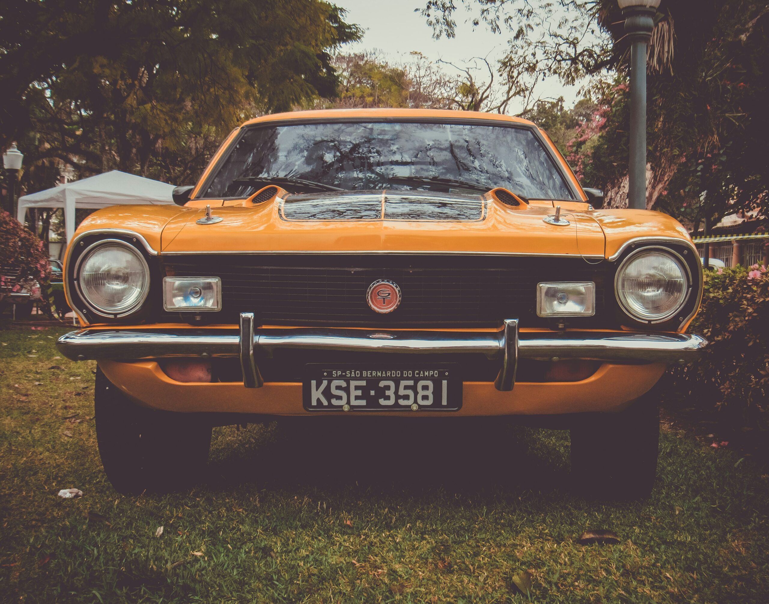 Private Number Plates: A Growing Trend Among Car Enthusiasts