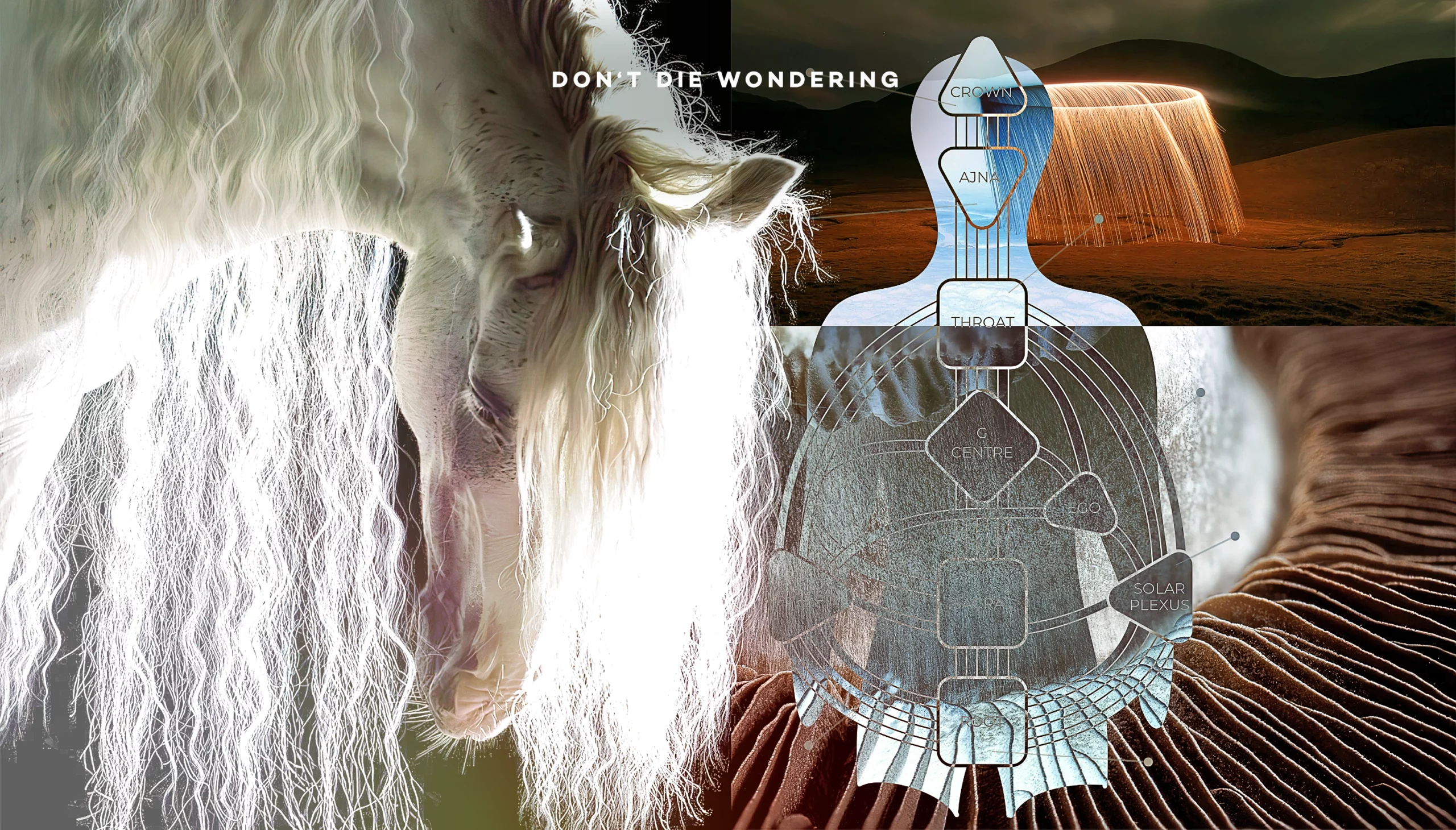 Understanding Human Design: A Comprehensive Guide to Self-Discovery