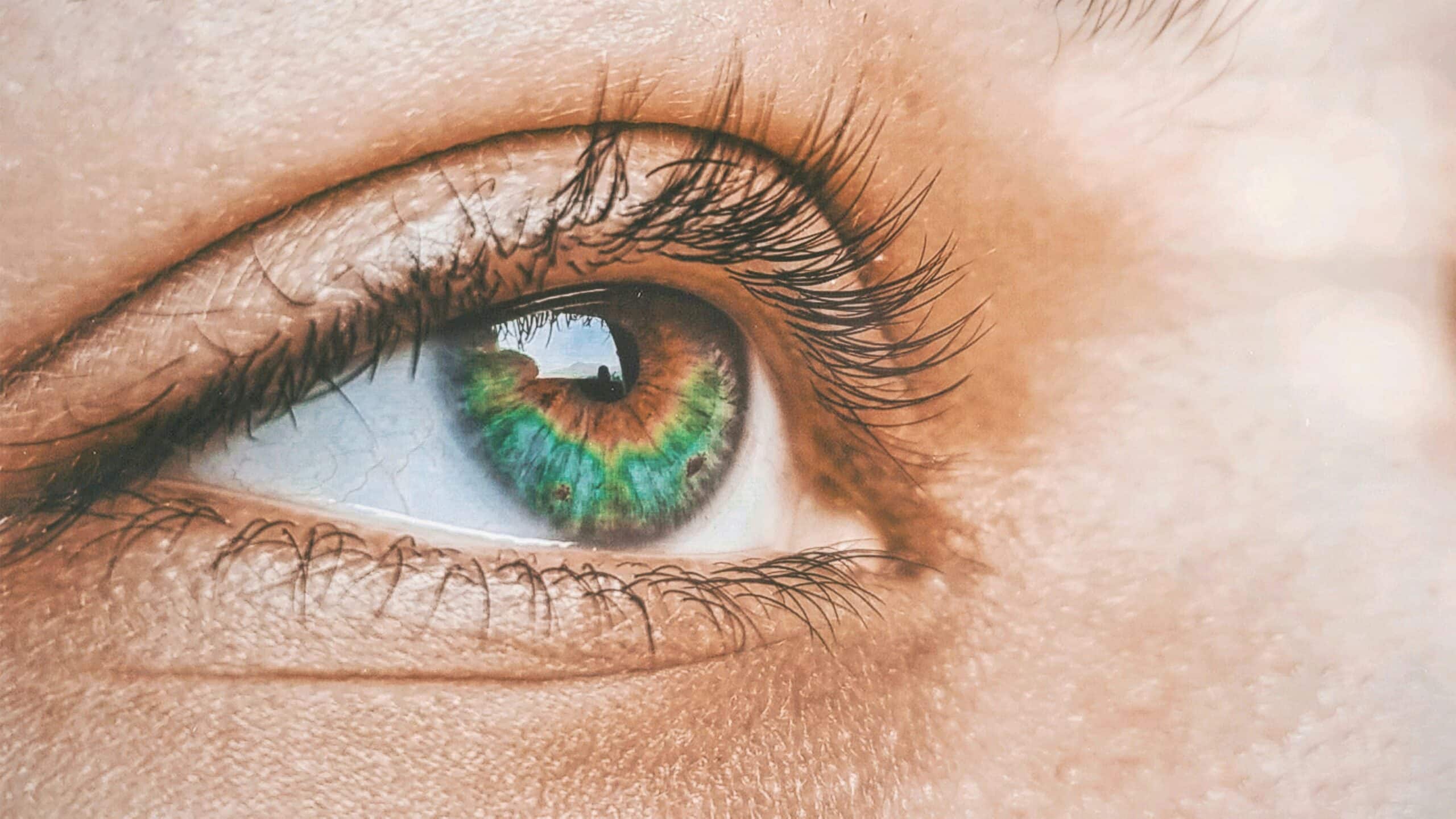 Why Lash Artists Are Switching to Promade Fans for Faster Application