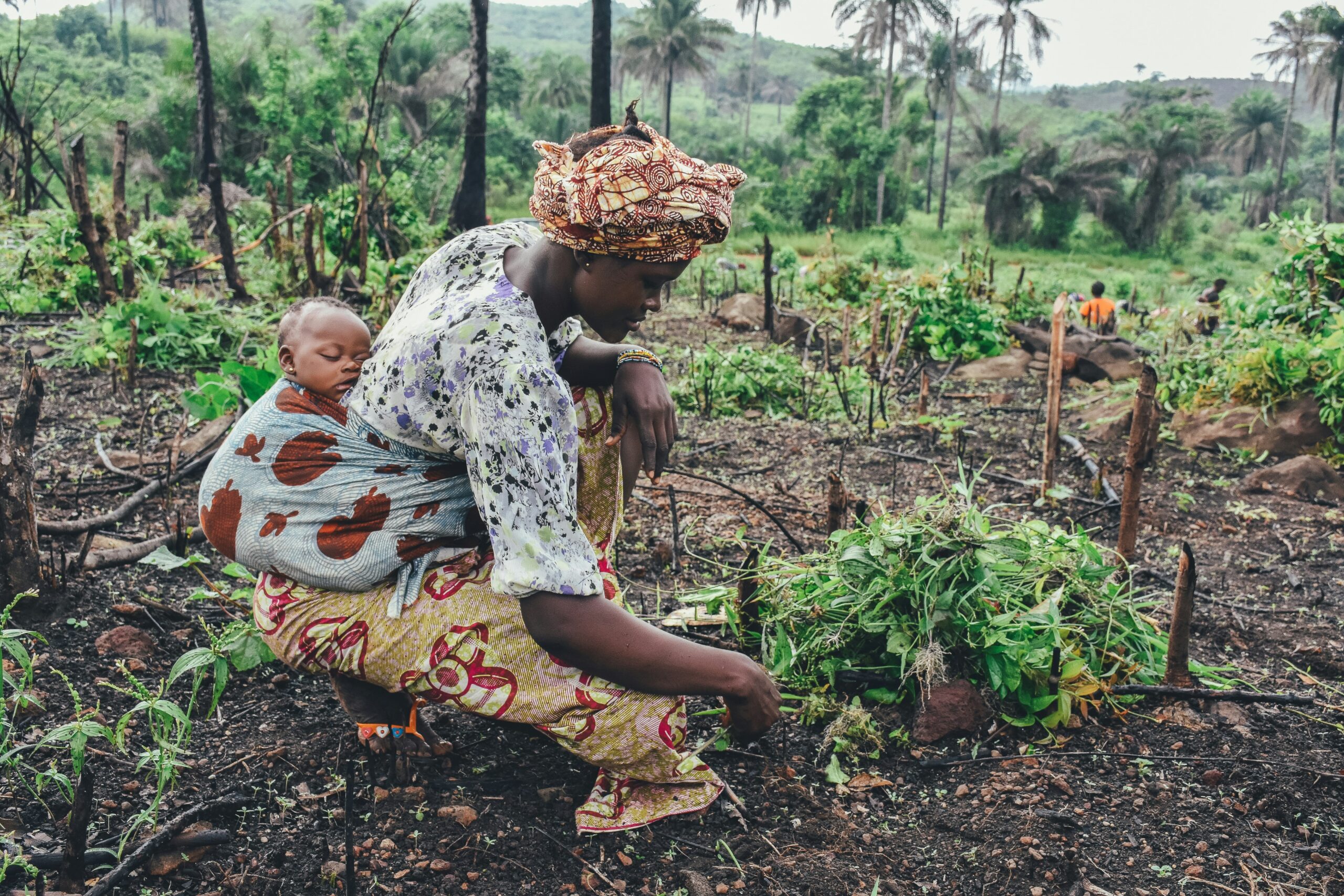 How to Plan Your First Trip to Africa: A Complete Guide