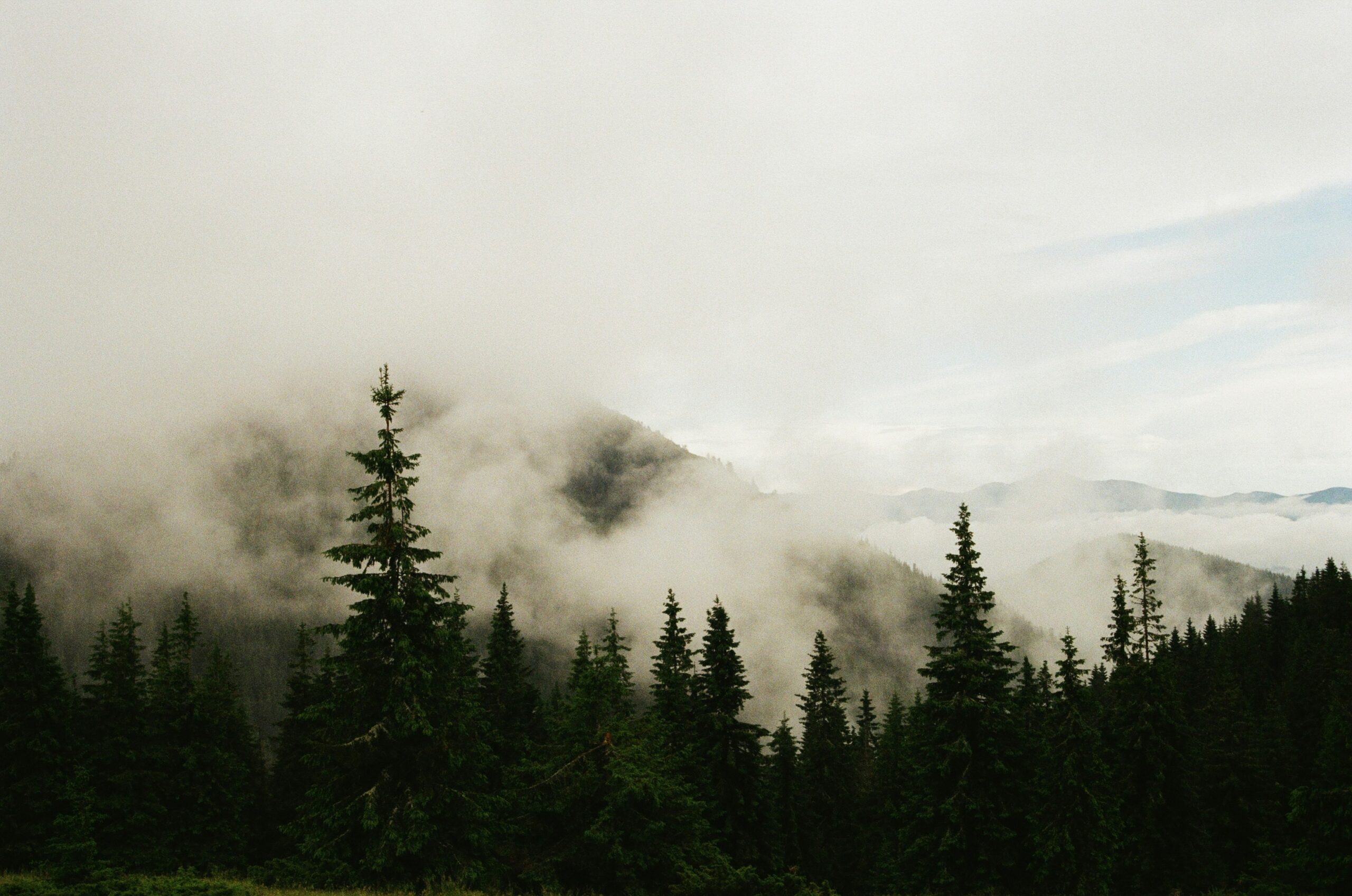 Top Things to Do in the Smoky Mountains for First-Time Visitors