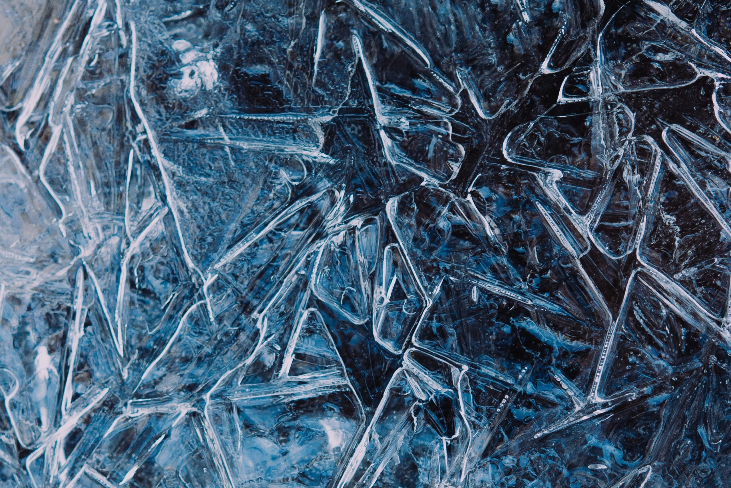 Why Buying Cold Storage Might Be Your Coldest Investment Yet Why Buying Cold Storage Might Be Your Coldest Investment Yet