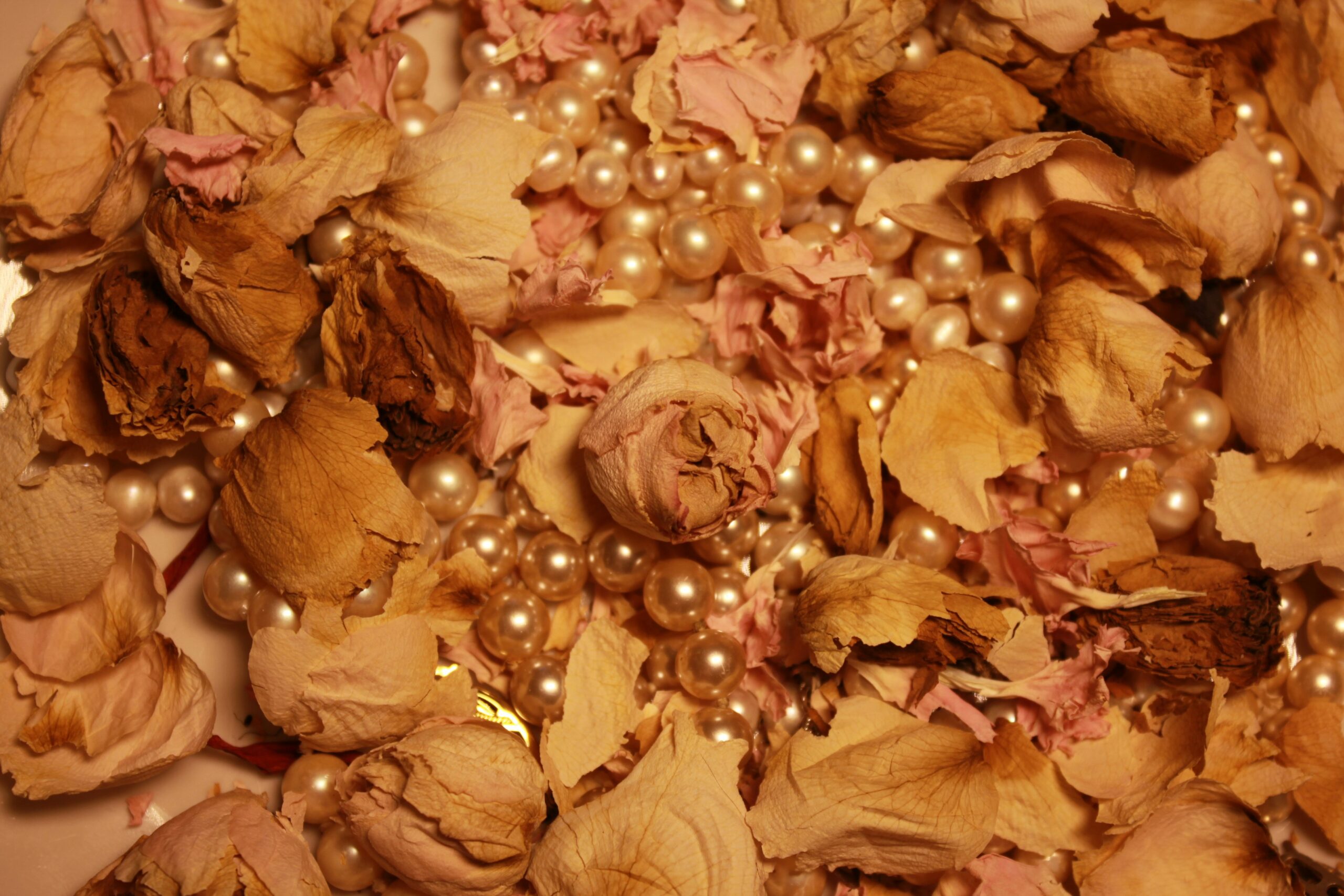 Reinventing Elegance: The Rise of Contemporary Pearl Jewelry