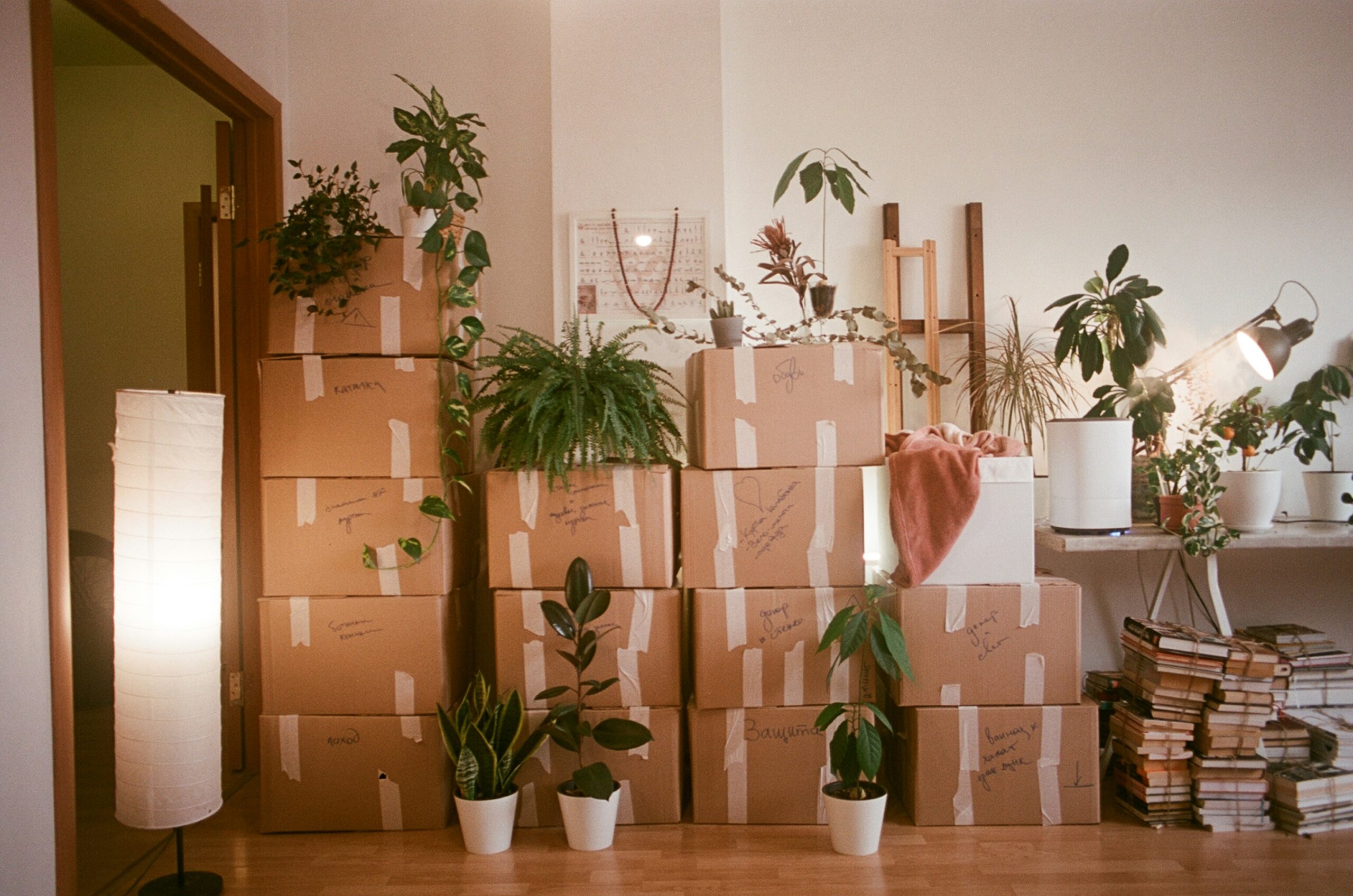 The Items People Most Regret Moving (and the Financial Break-Even Point for Replacement)