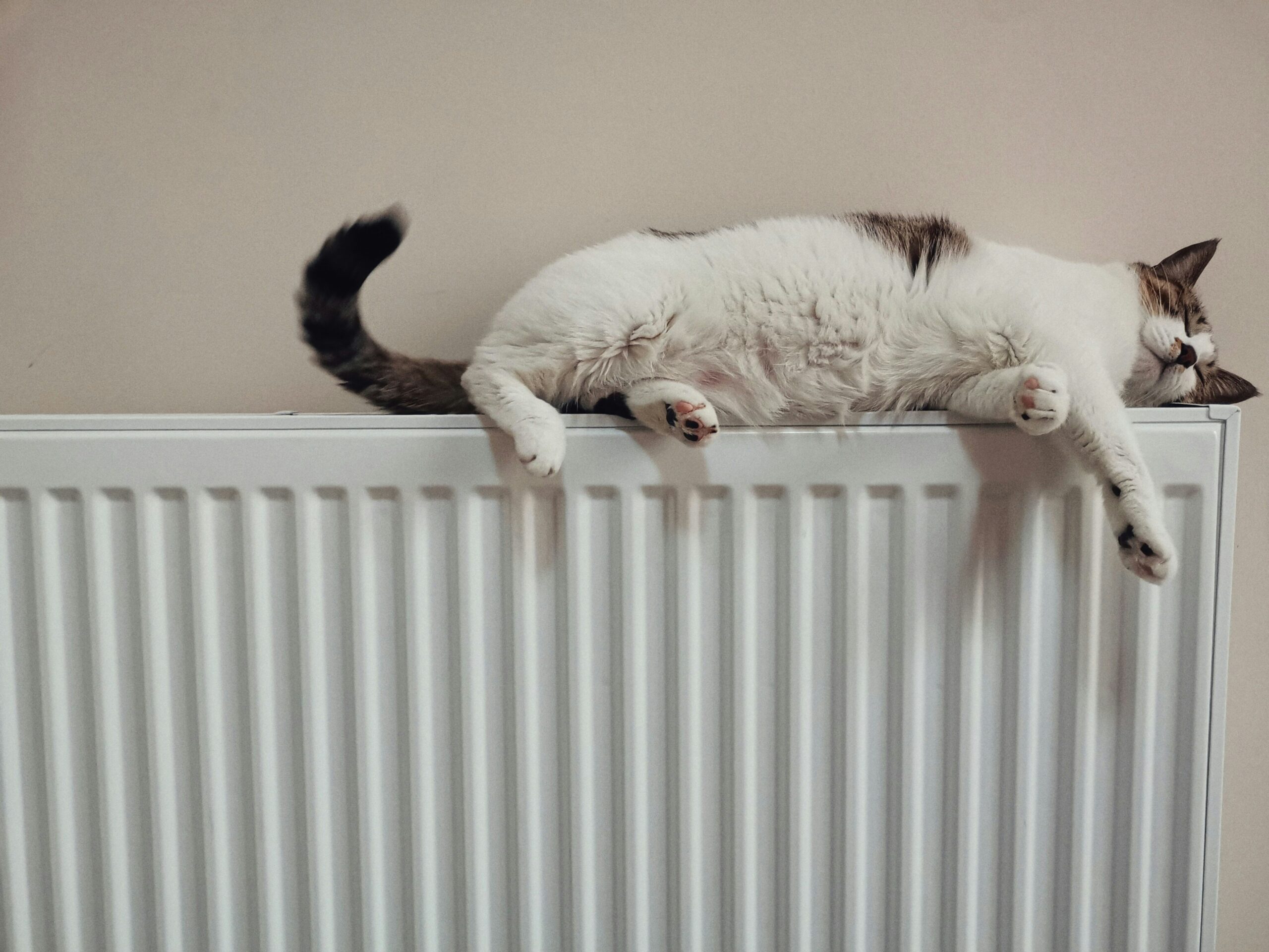 The Best Modern Radiator Brands That Turn Practical Heating into a Design Statement