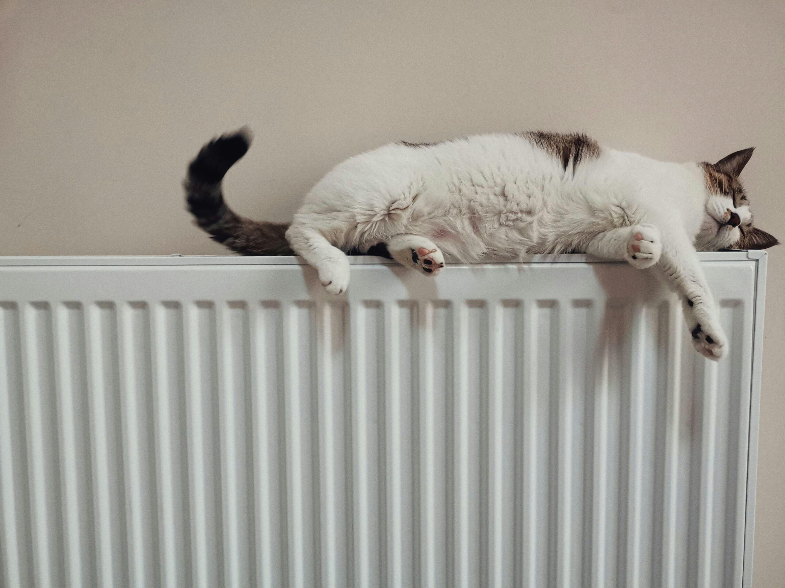 The Best Modern Radiator Brands That Turn Practical Heating into a Design Statement The Best Modern Radiator Brands That Turn Practical Heating into a Design Statement