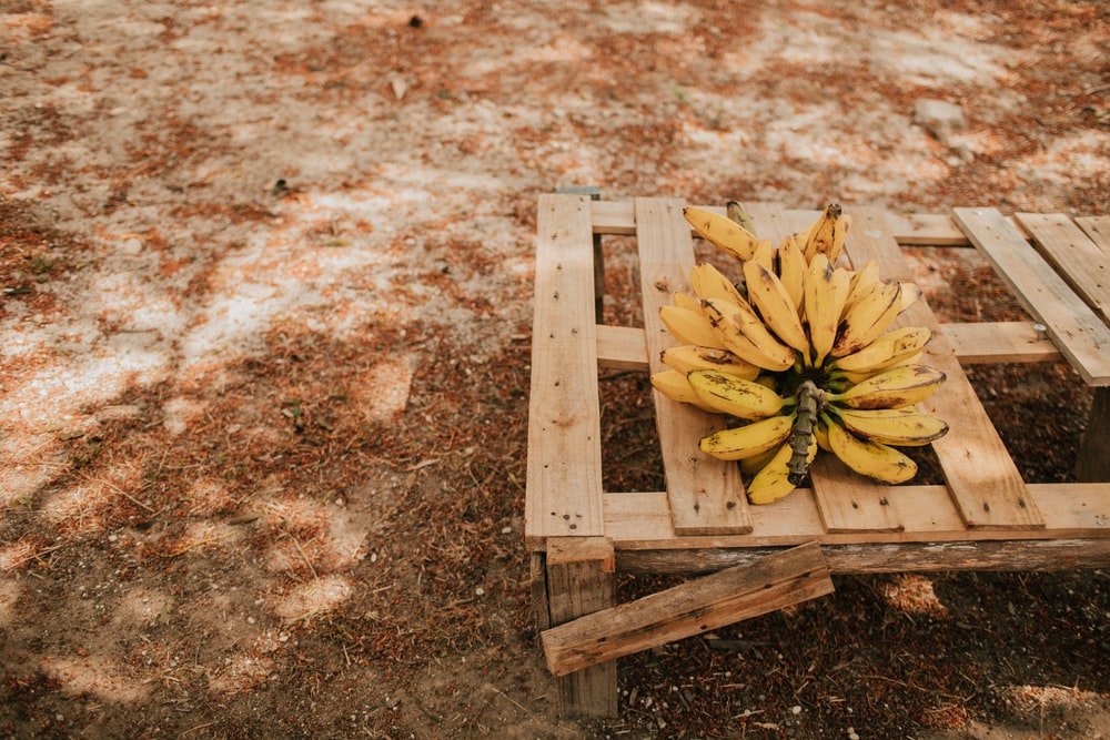 Bananas Have Seeds - Food Science 