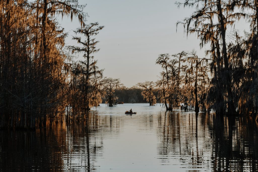 The second half of American Queen Voyages' riverboat cruise enters the Louisiana bayou. 