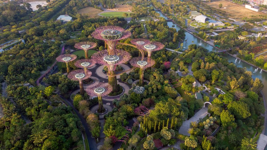 Singapore's Botanical Gardens from above. 