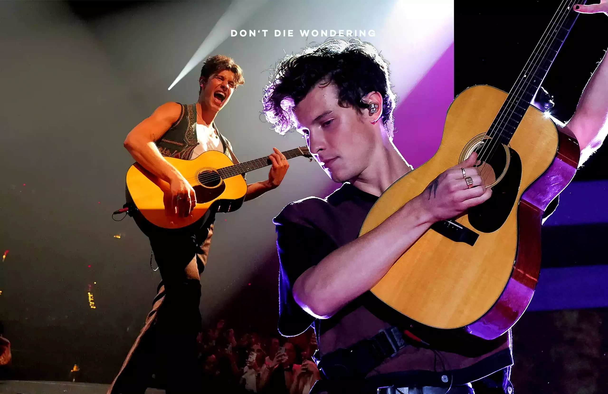 Shawn Mendes Tour Postponed due to Mental Health Issues